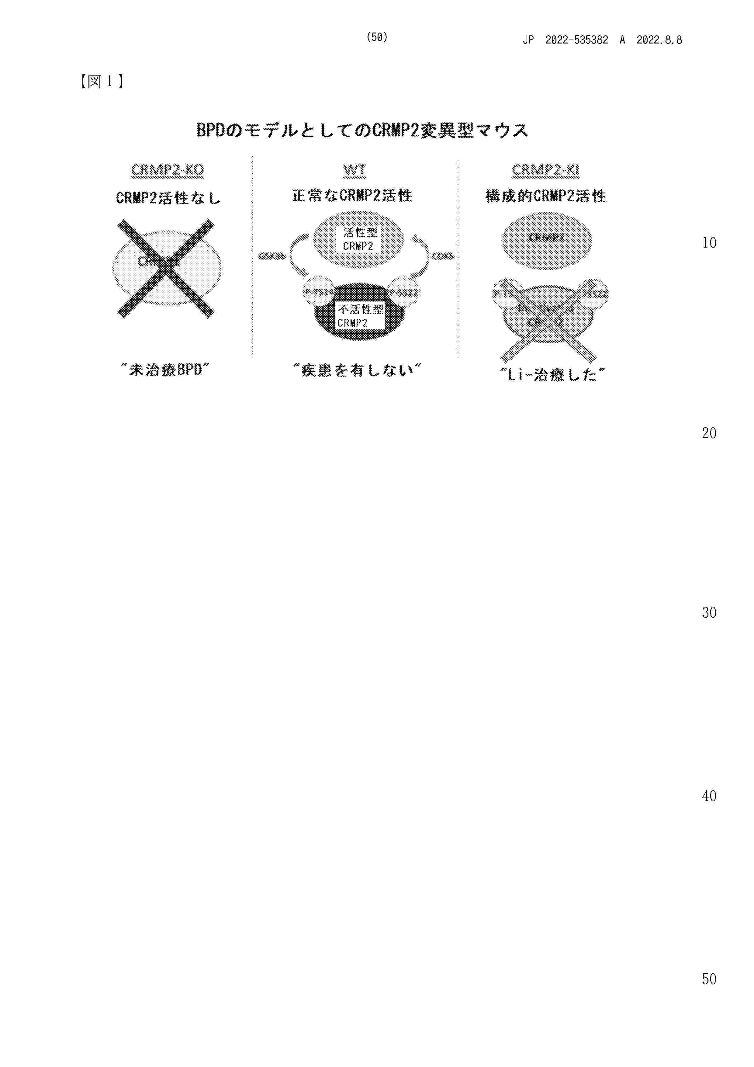 JP_2022535382_A