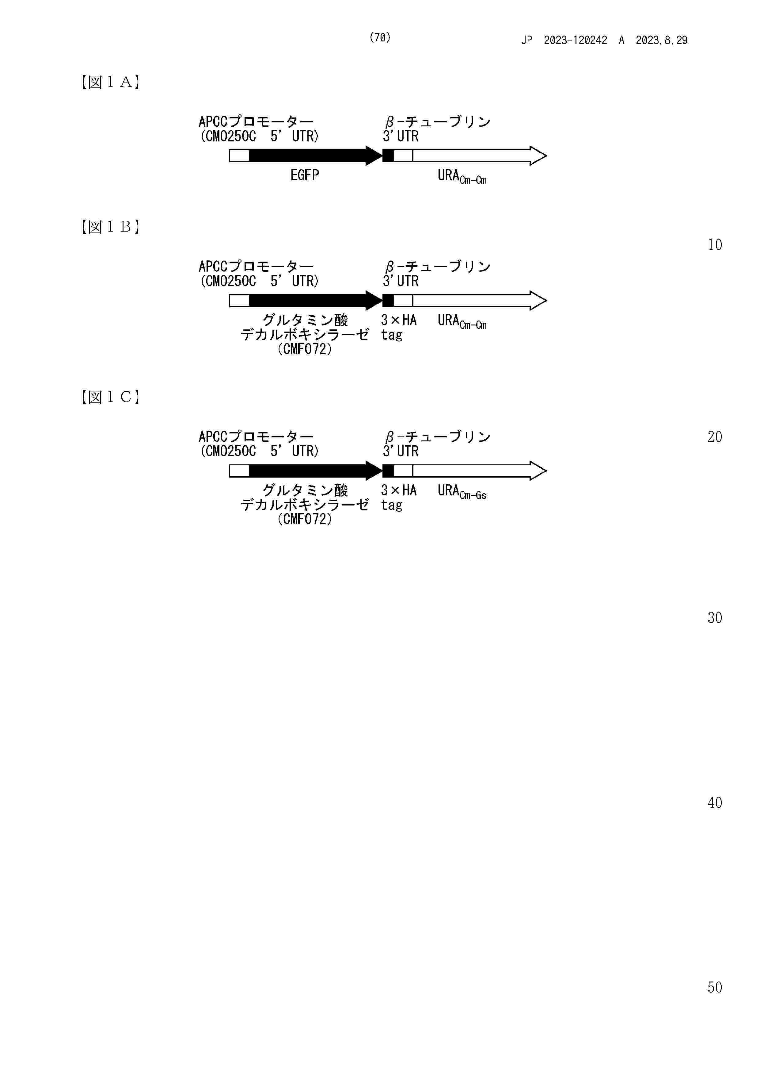 JP_2023120242_A