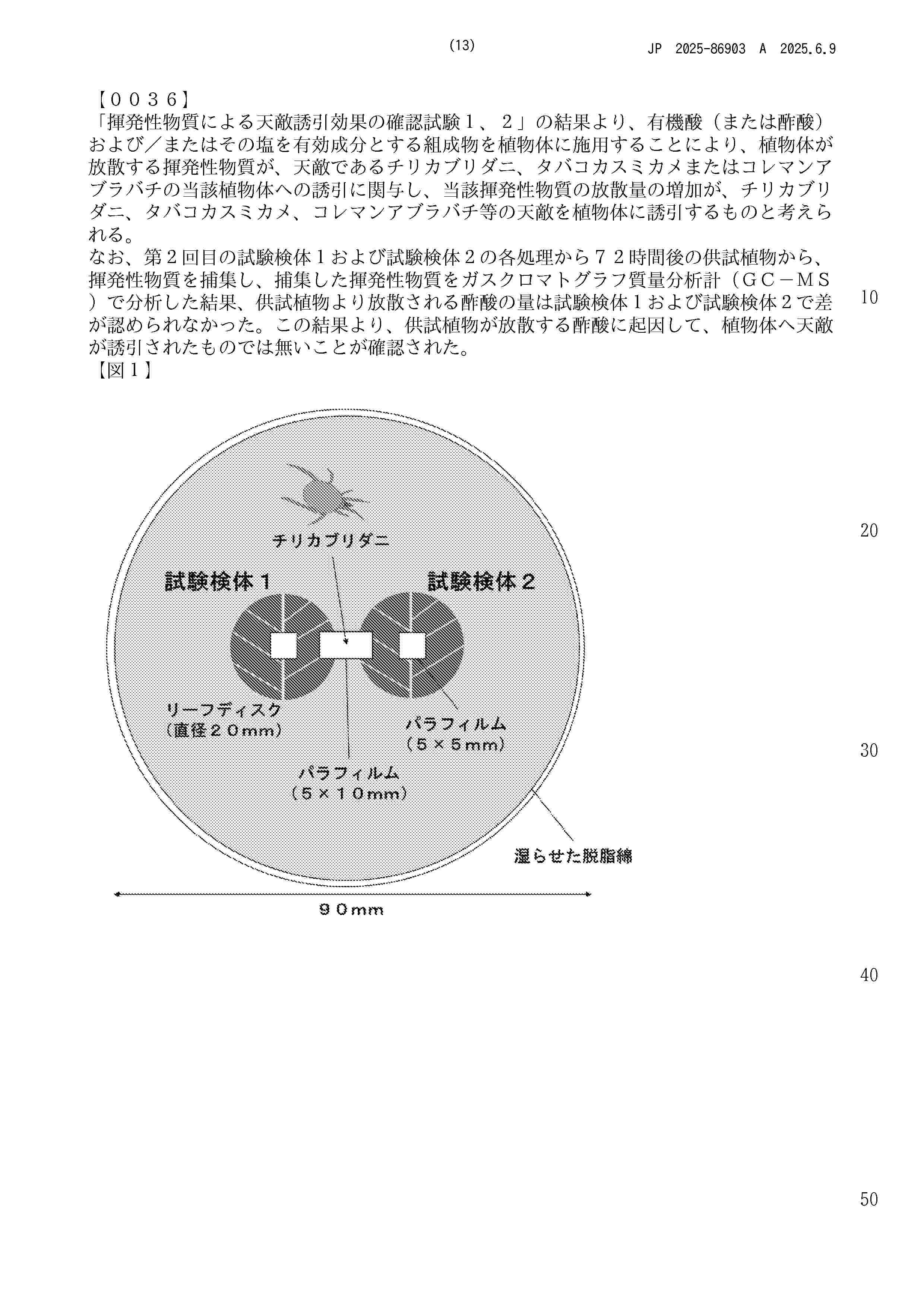 JP_2025086903_A