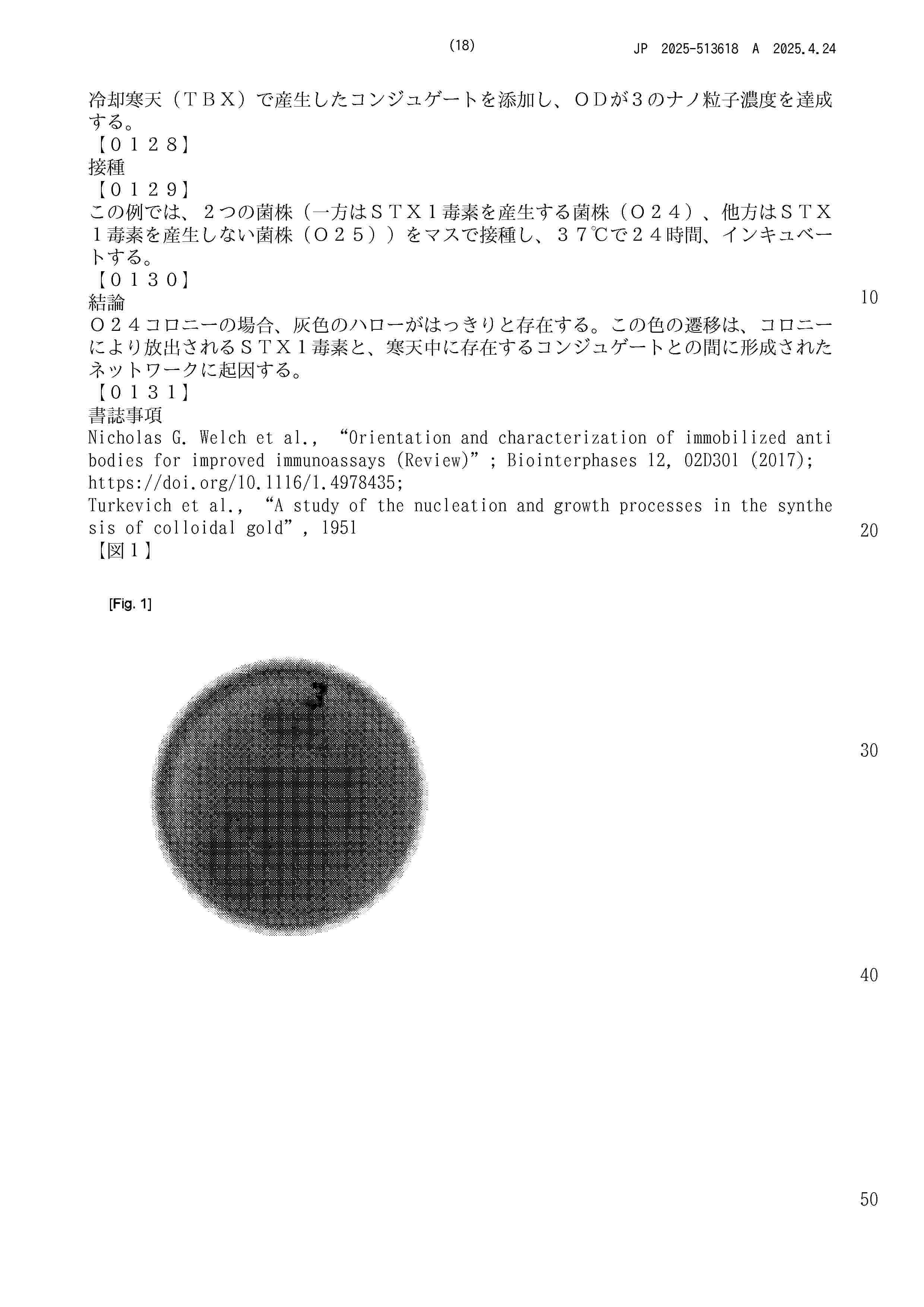 JP_2025513618_A