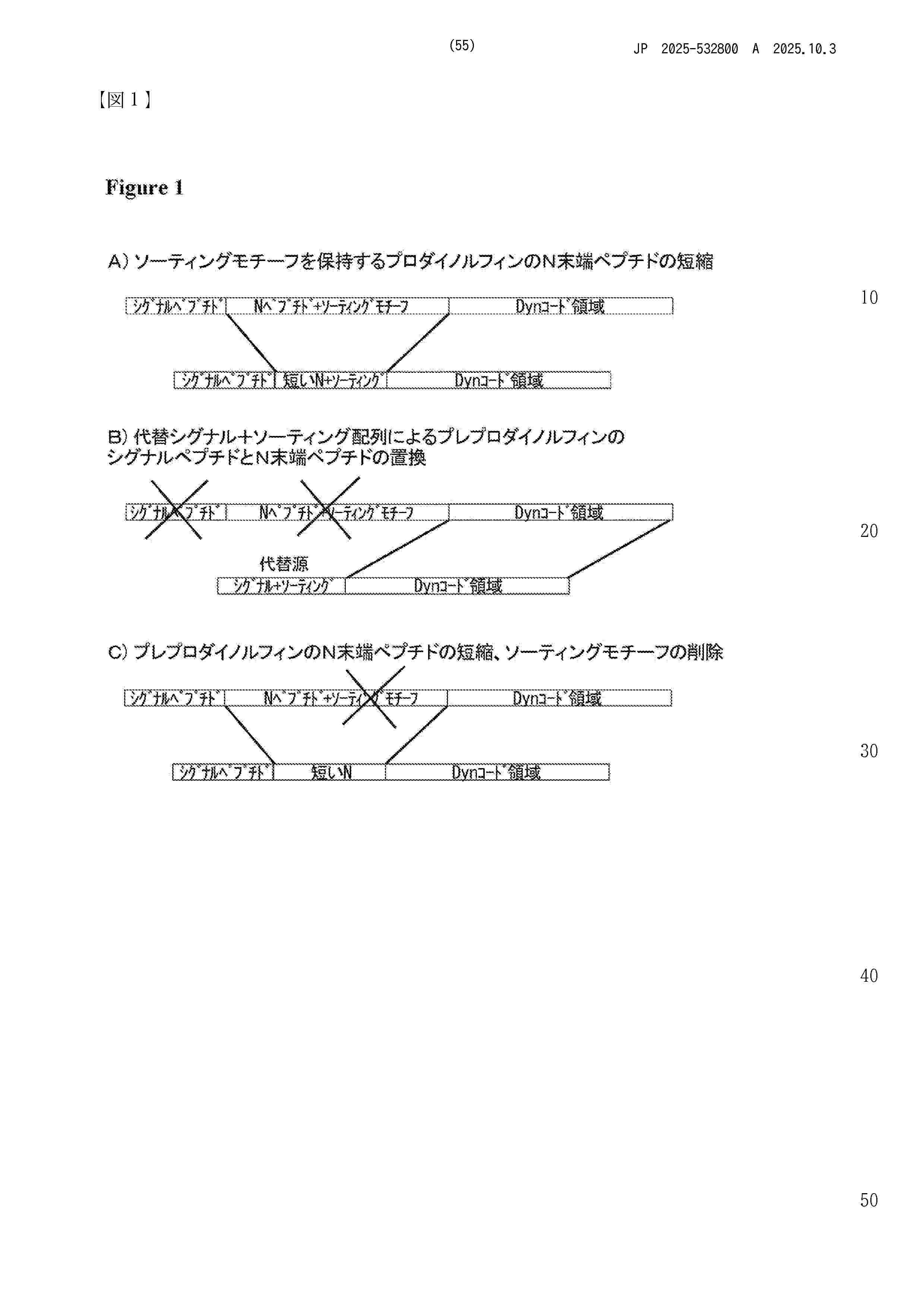 JP_2025532800_A