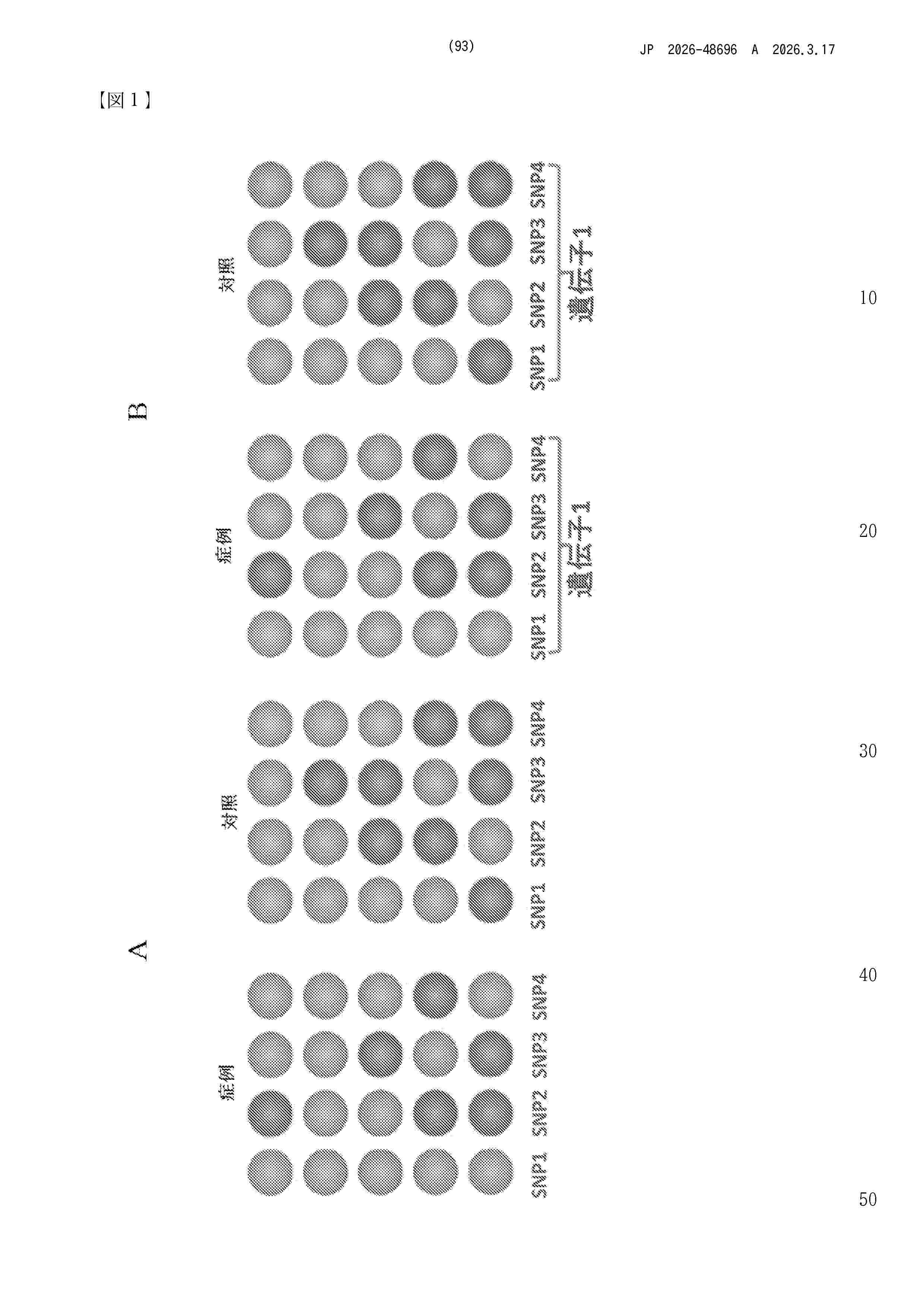 JP_2026048696_A