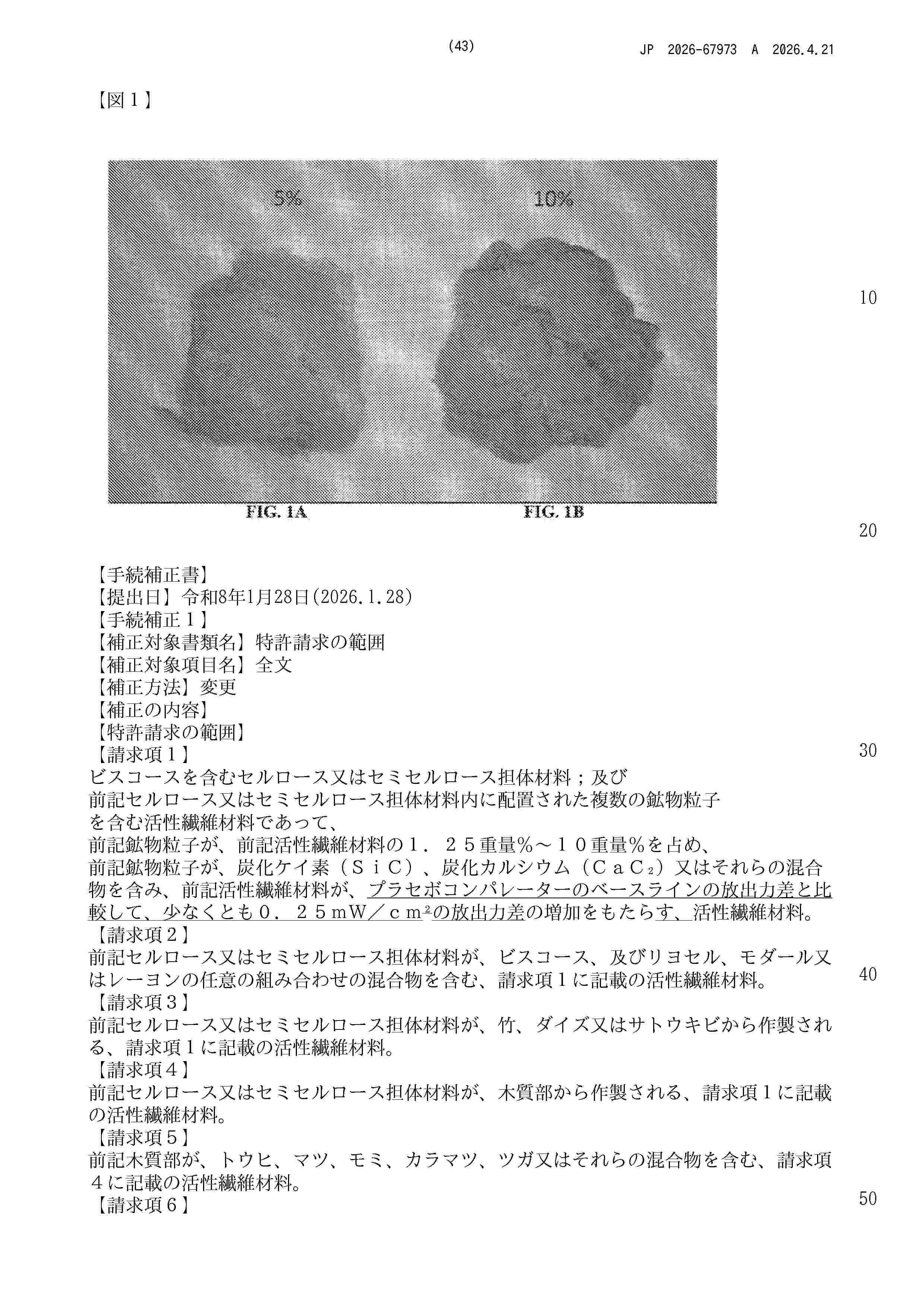 JP_2026067973_A