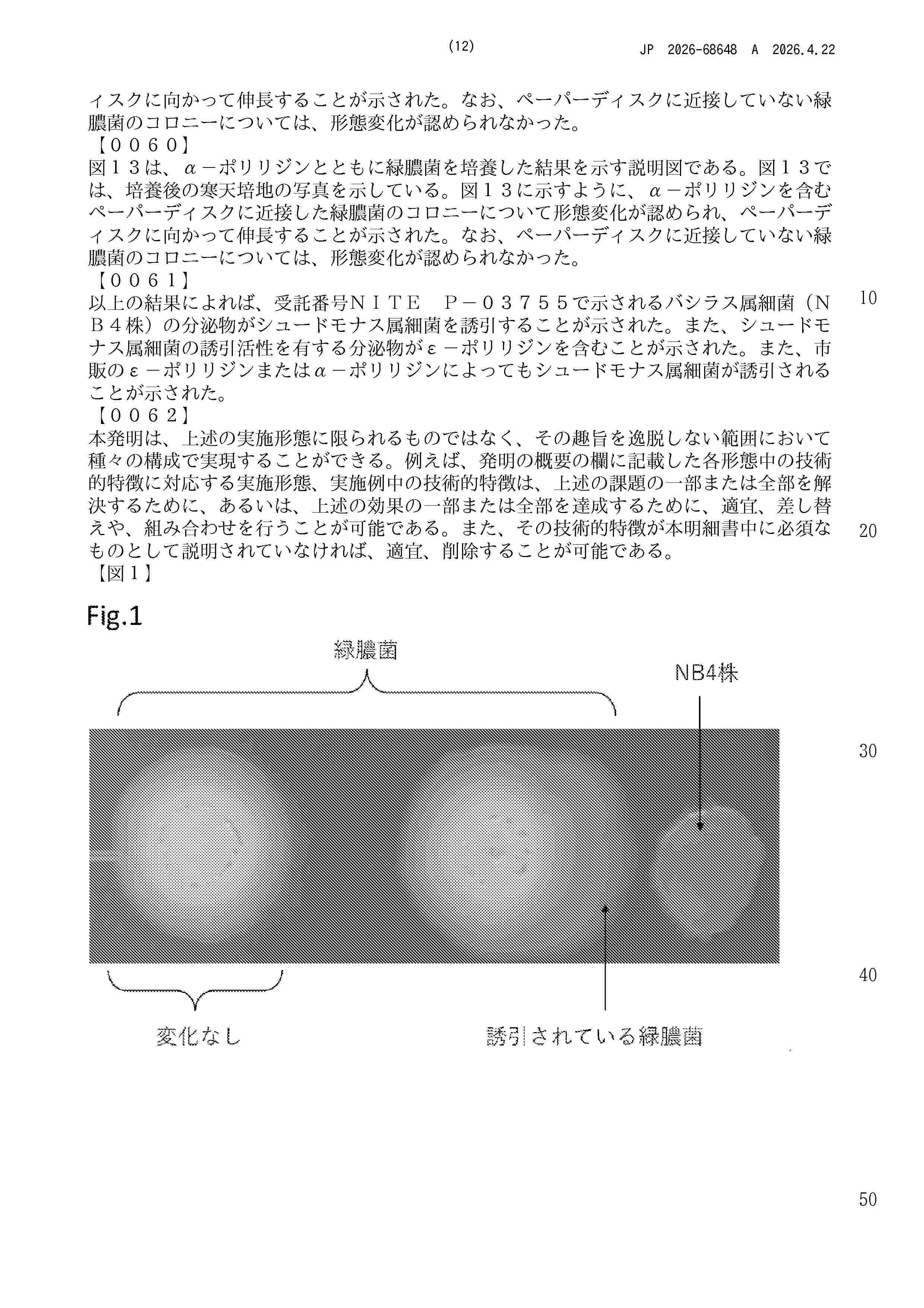 JP_2026068648_A