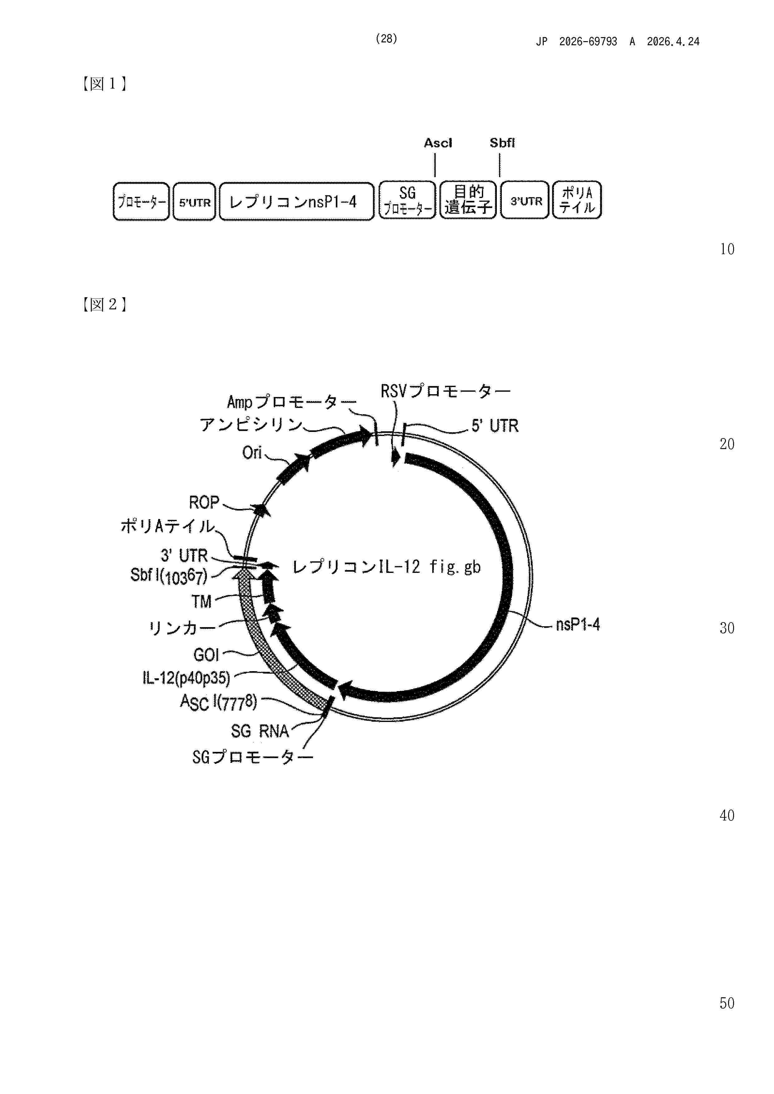 JP_2026069793_A