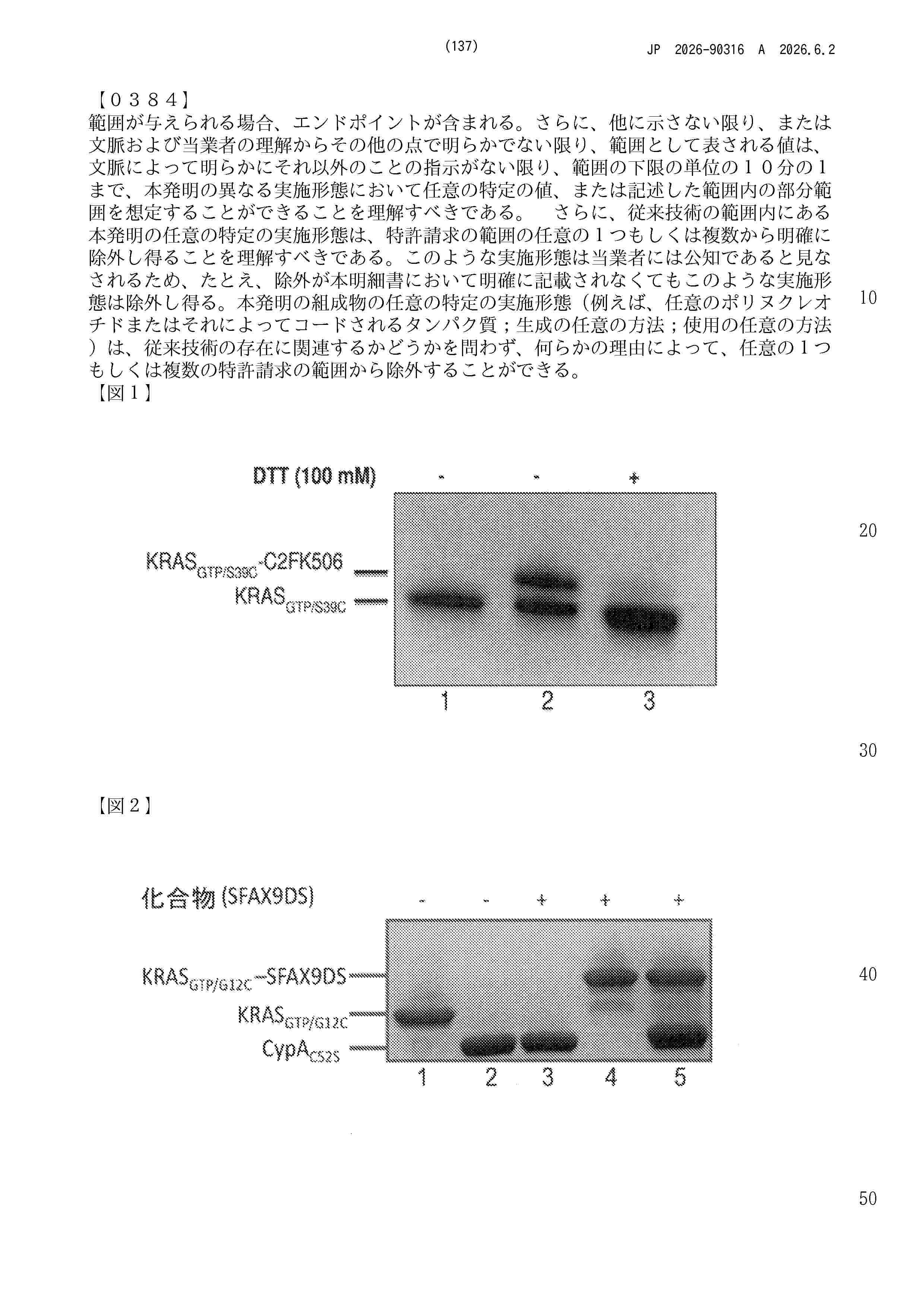 JP_2026090316_A