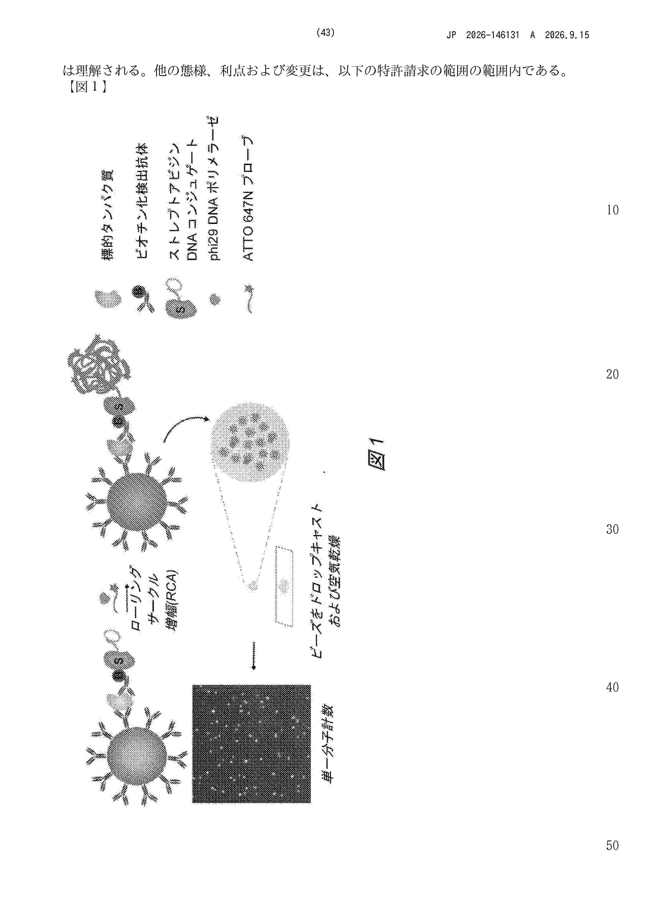 JP_2026146131_A