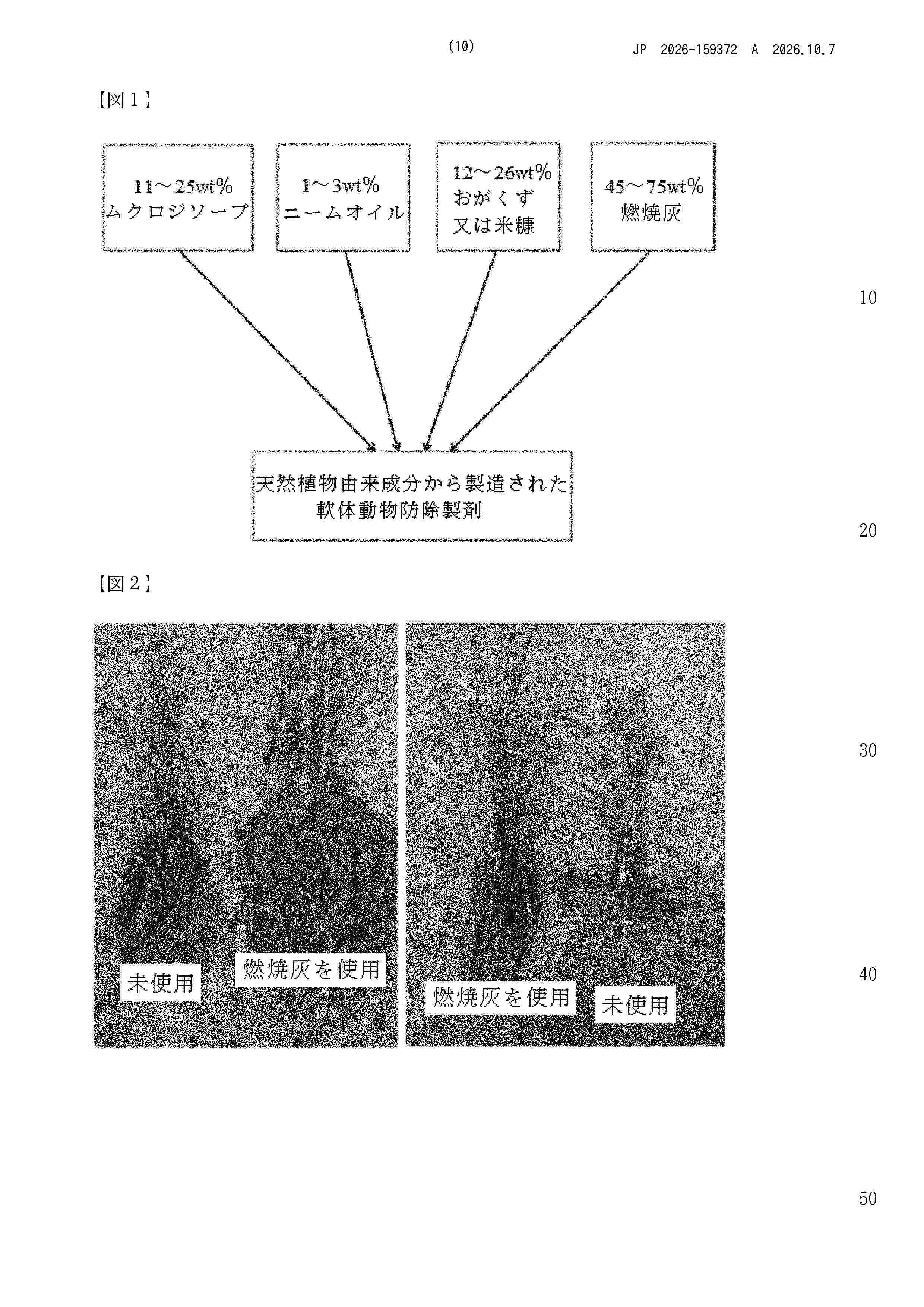JP_2026159372_A