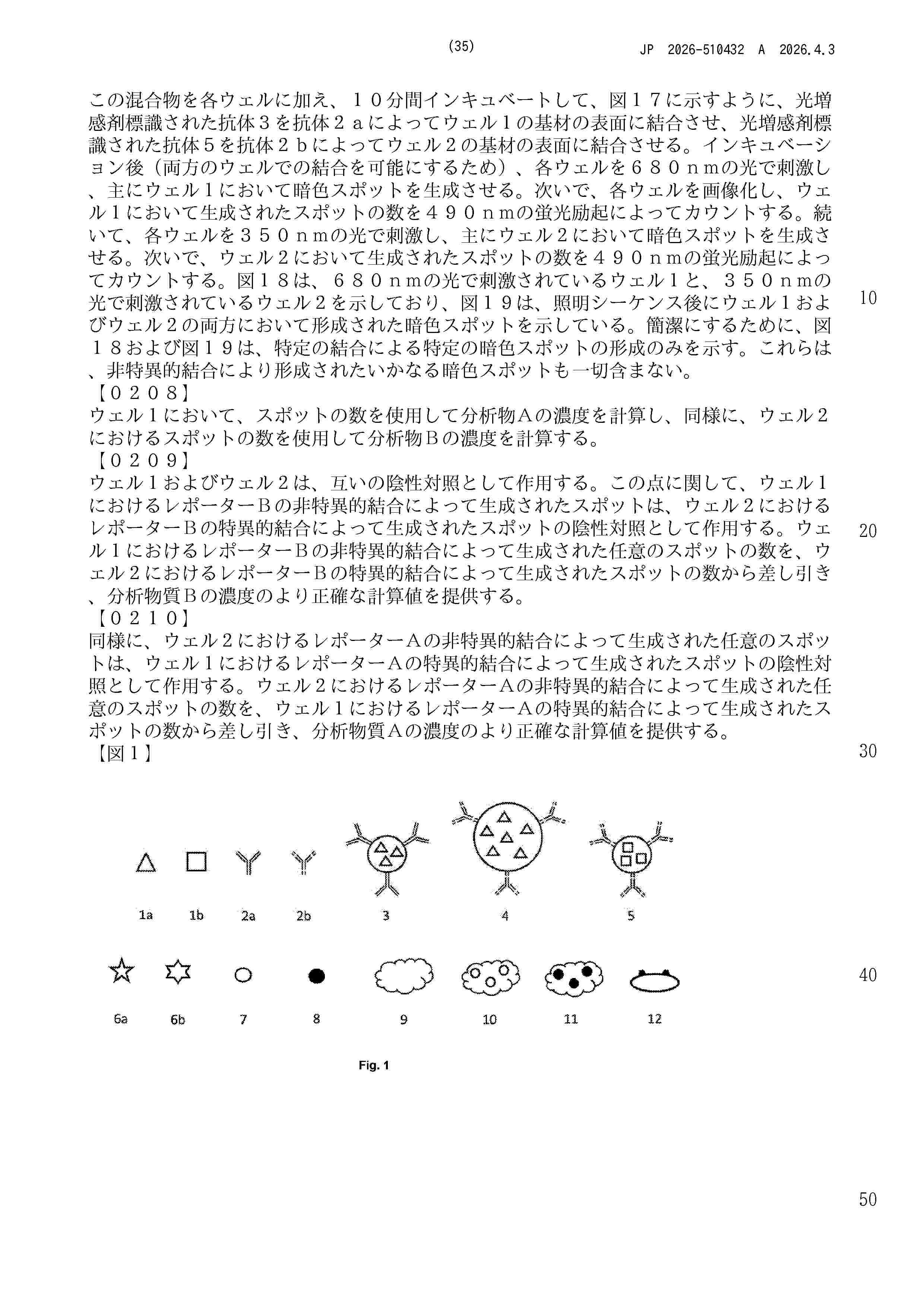 JP_2026510432_A