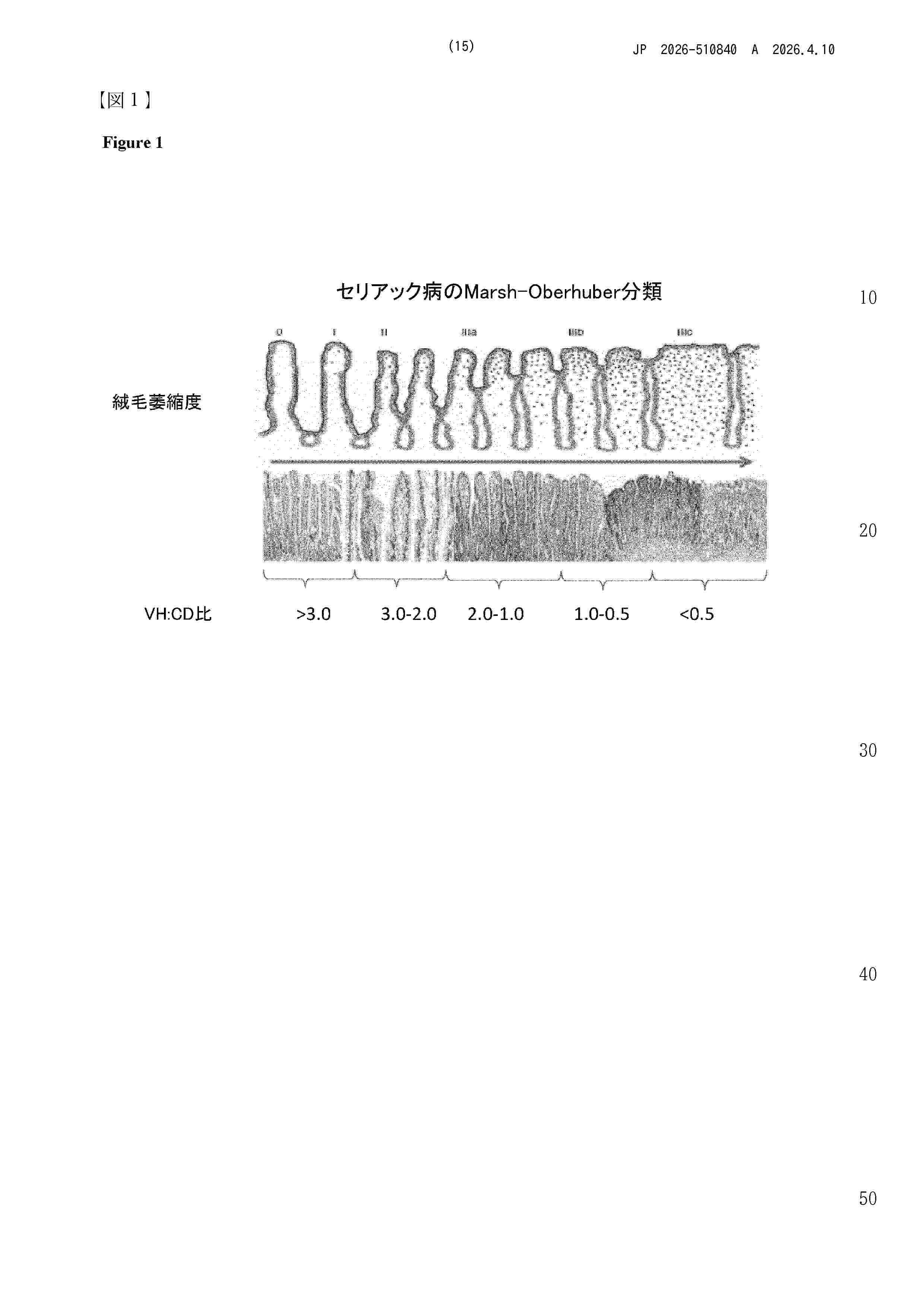 JP_2026510840_A