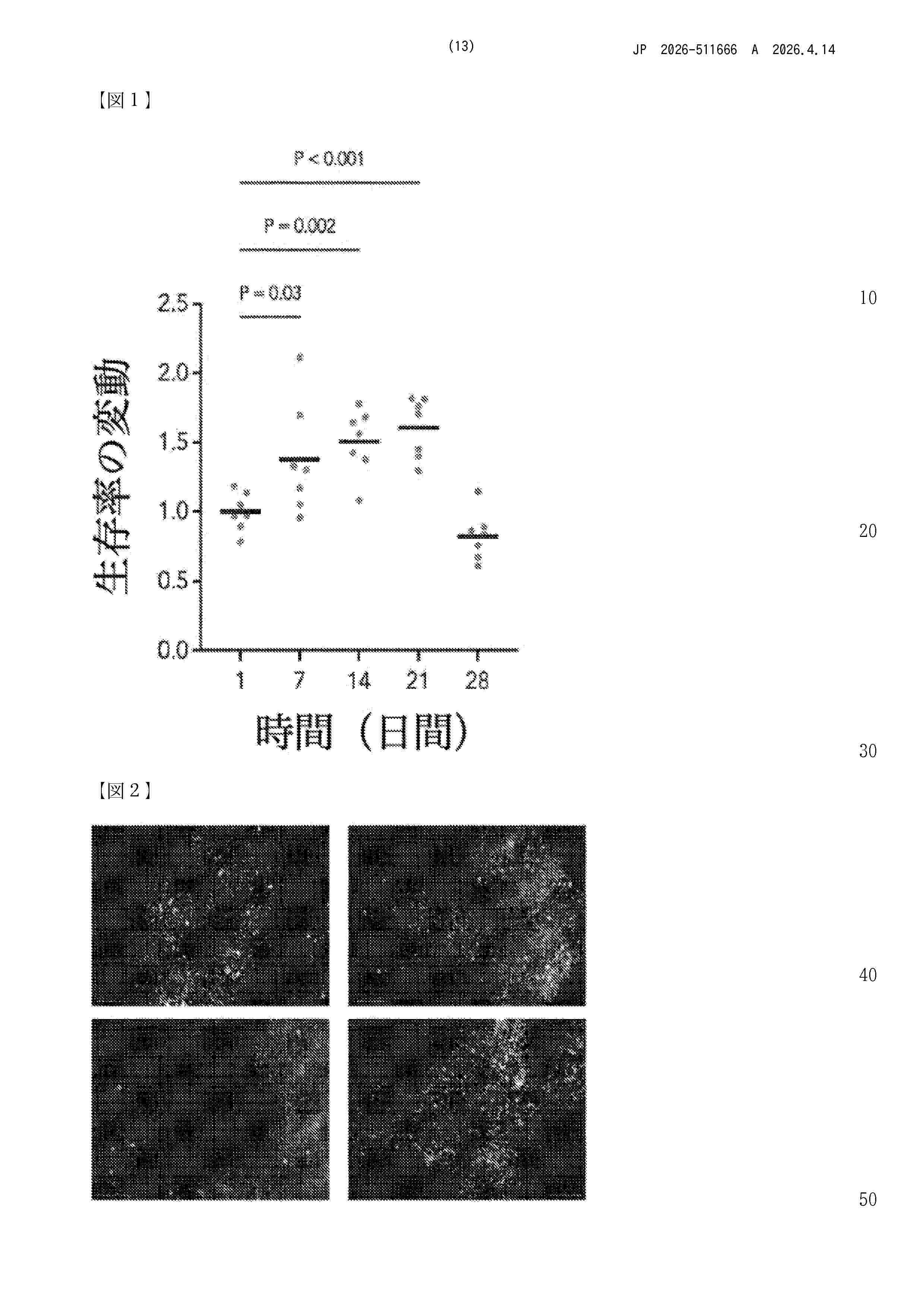 JP_2026511666_A