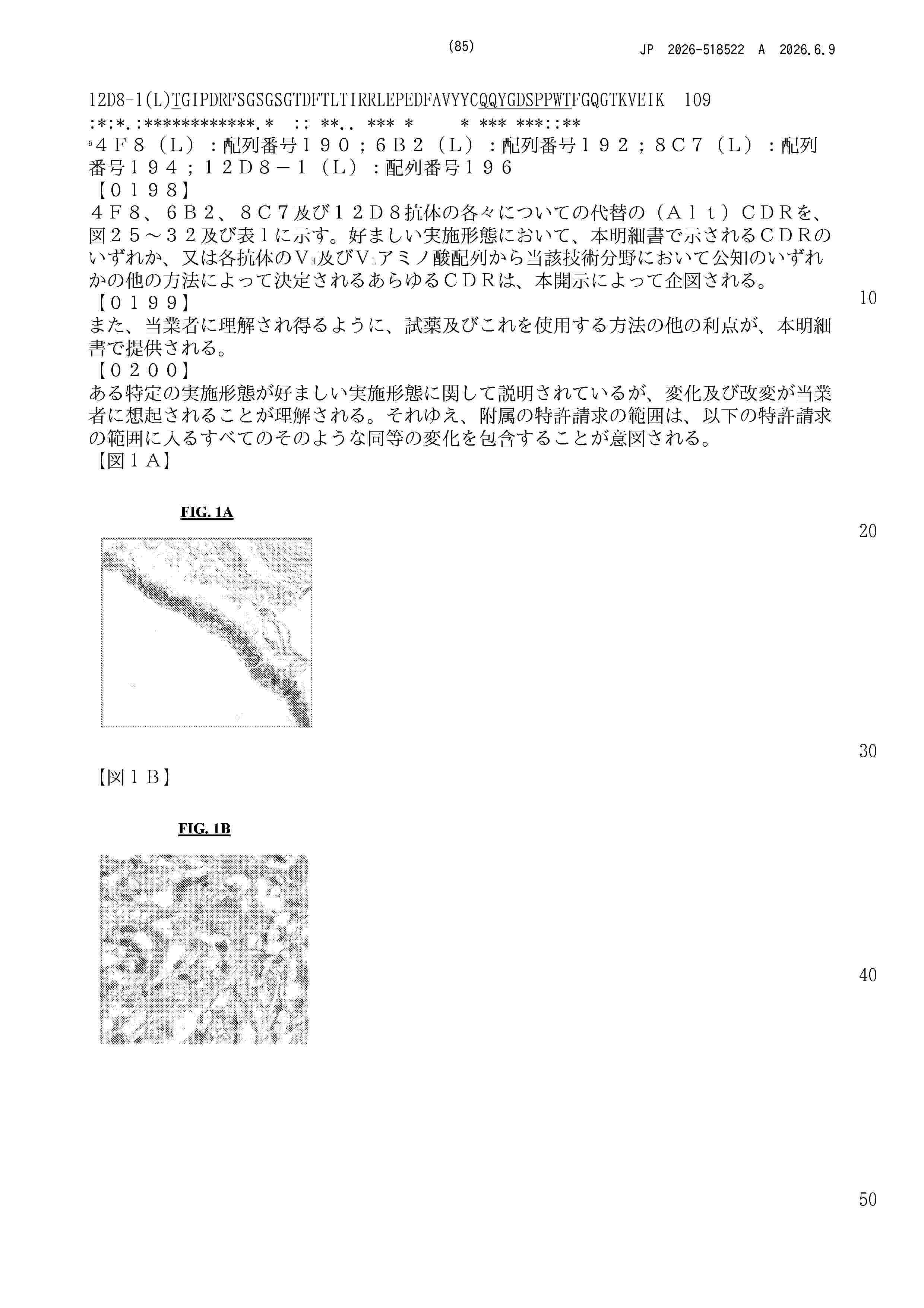 JP_2026518522_A