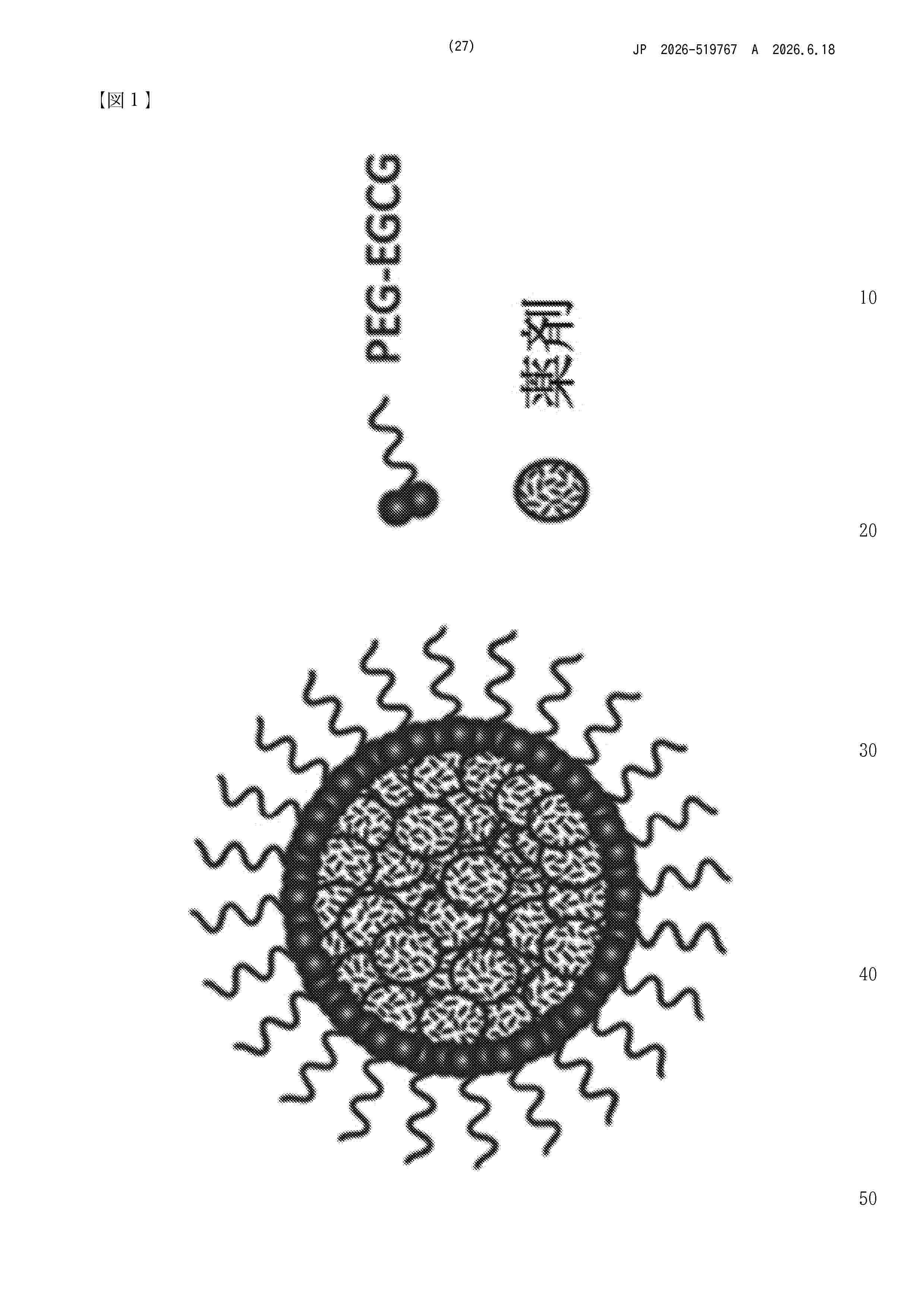 JP_2026519767_A