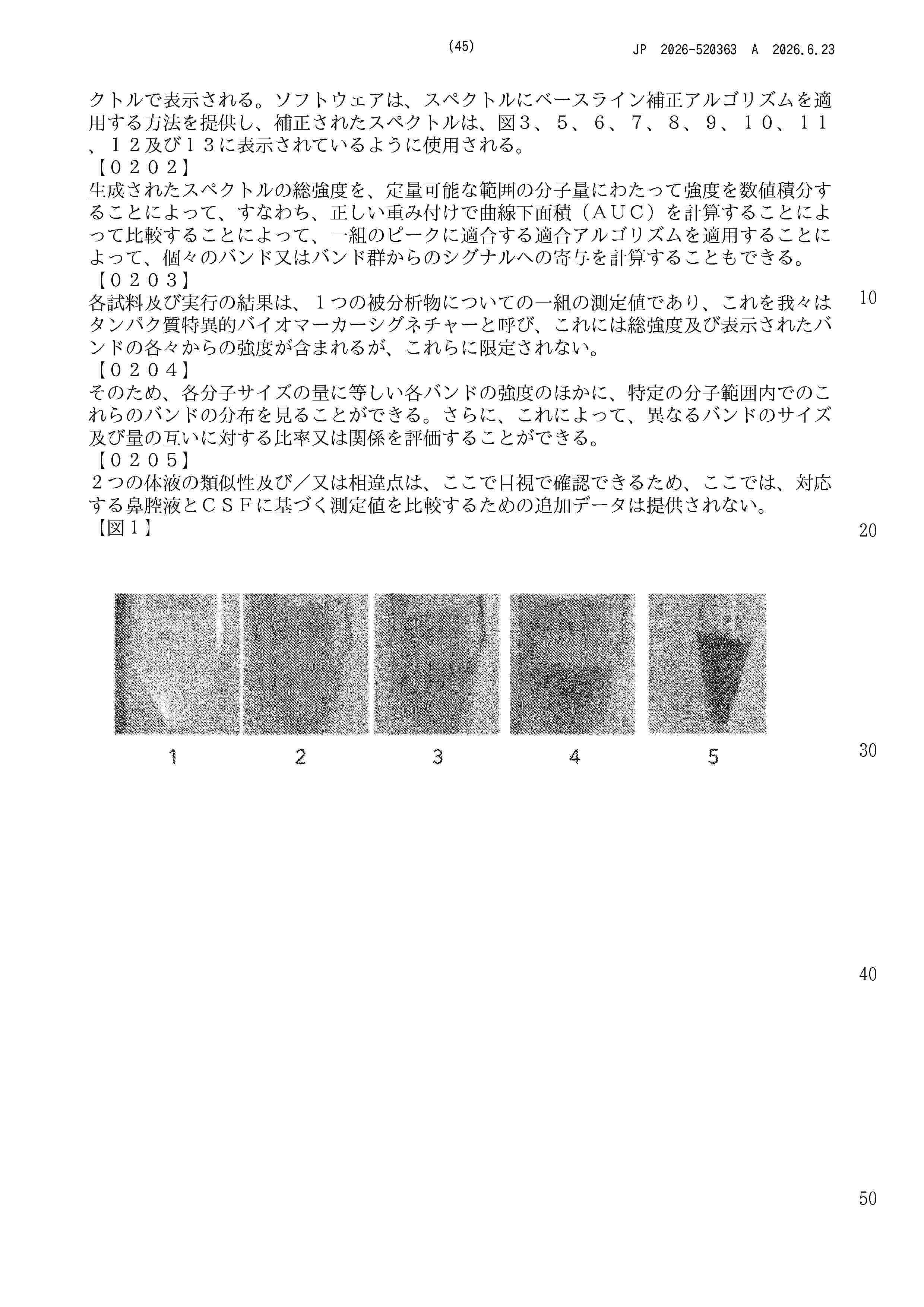 JP_2026520363_A