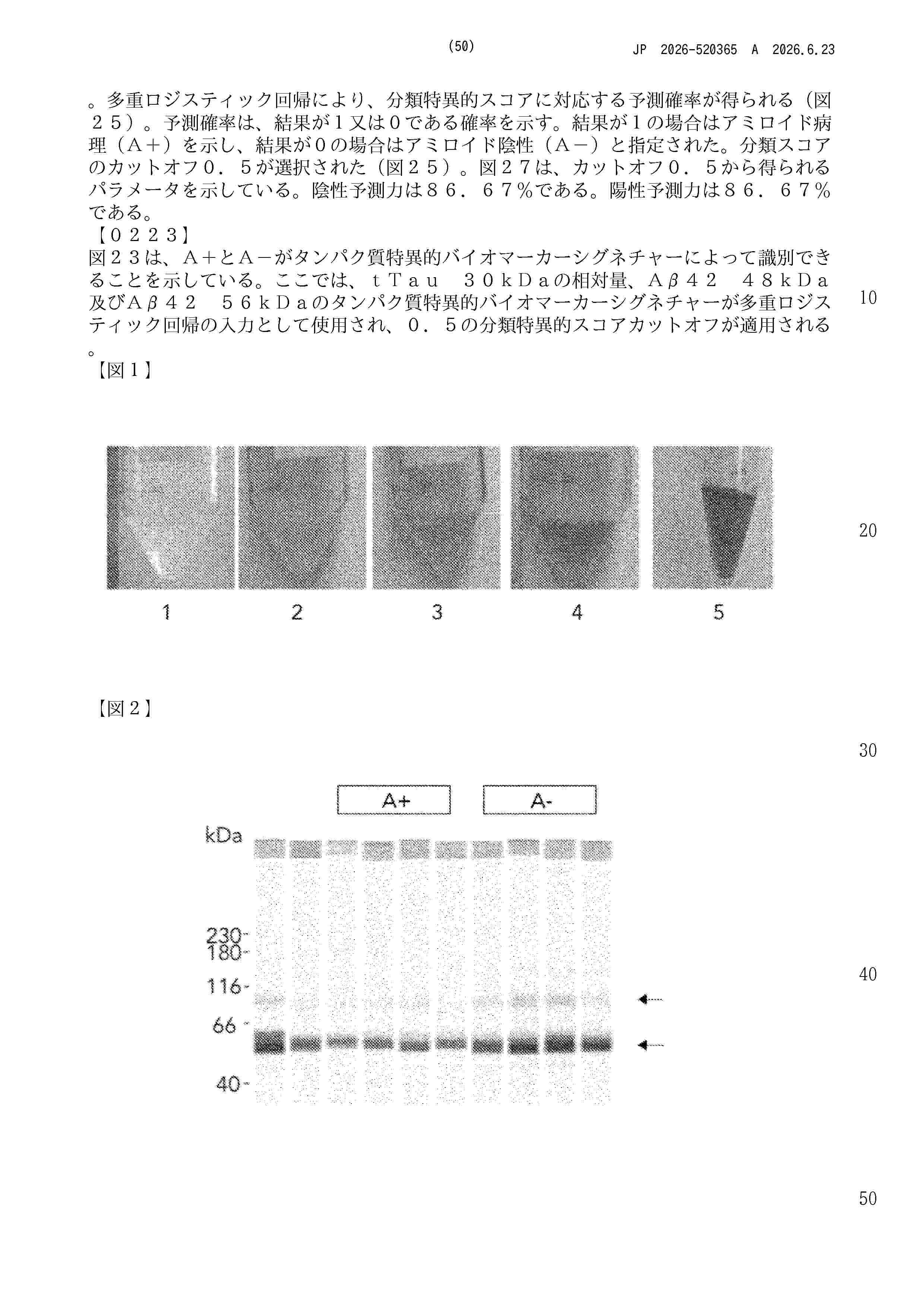 JP_2026520365_A