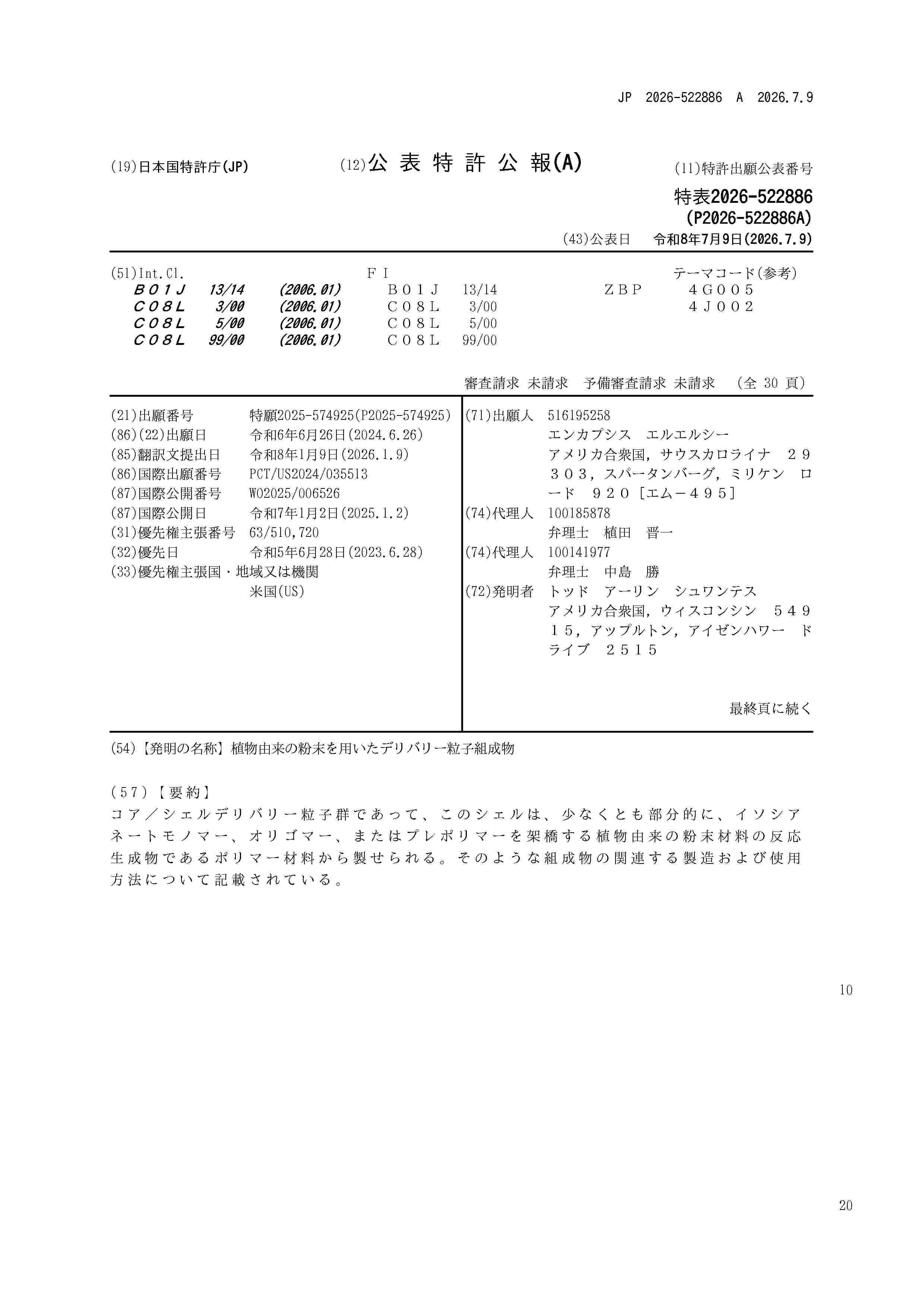 JP_2026522886_A