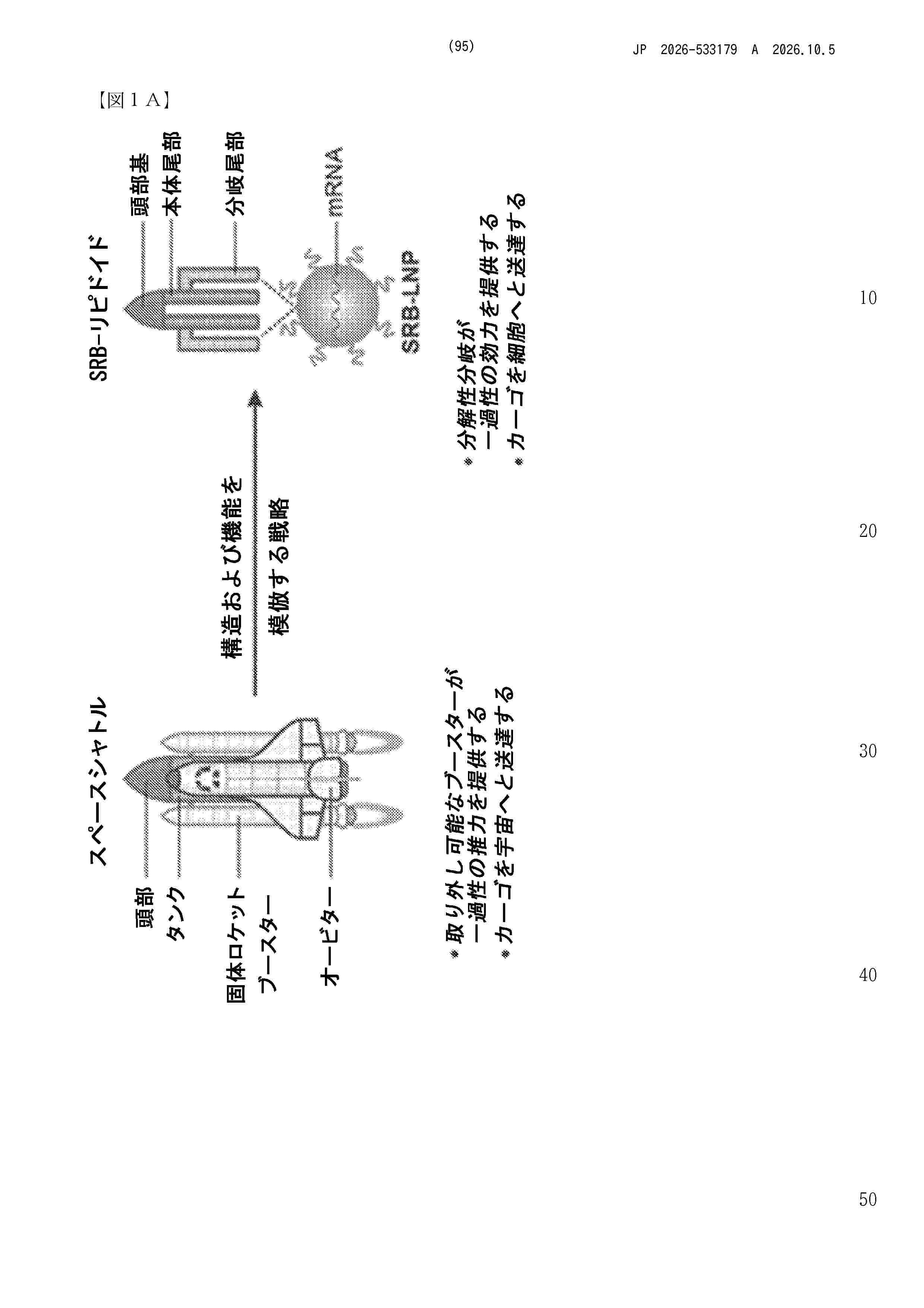 JP_2026533179_A
