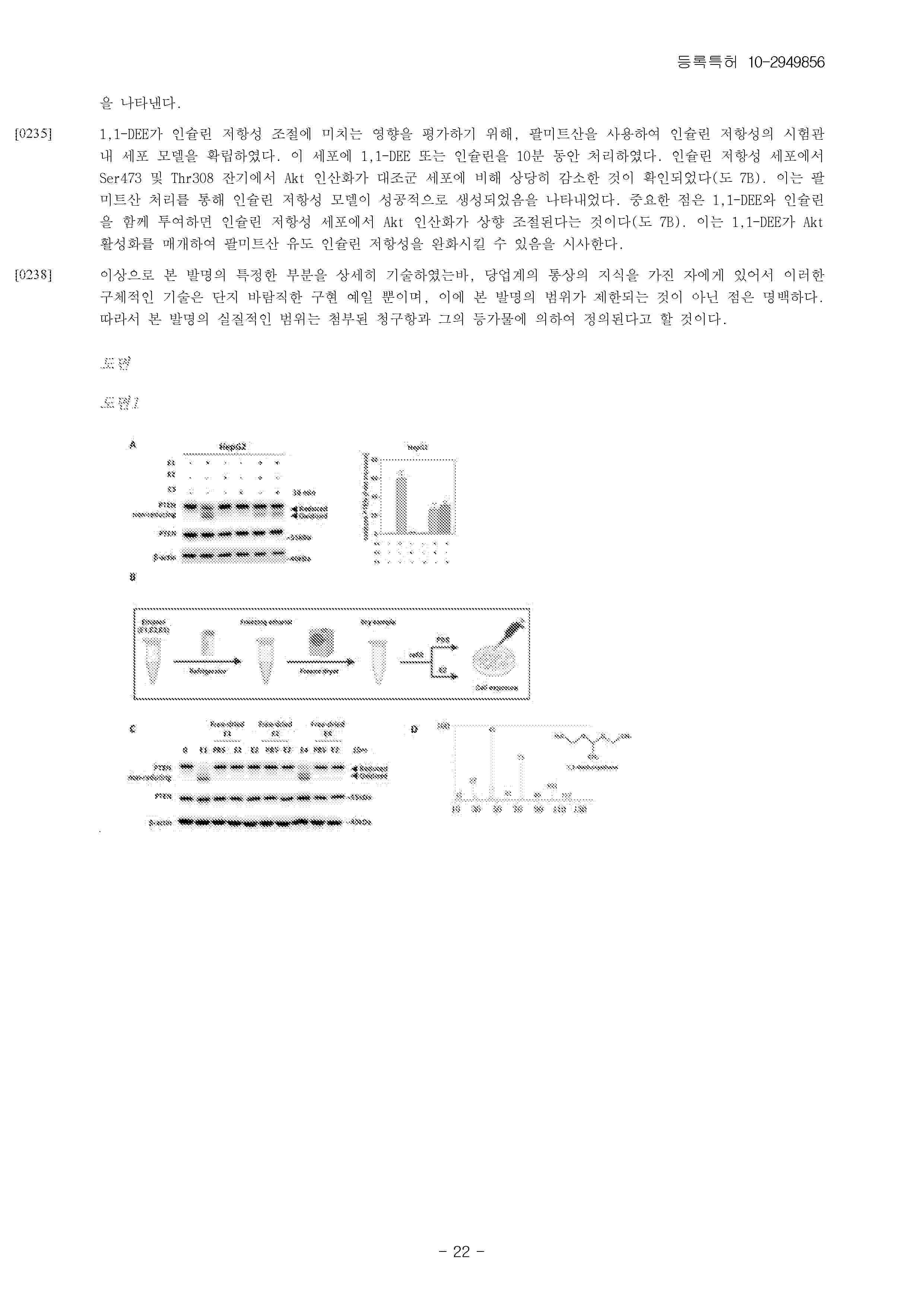 KR_102949856_B1