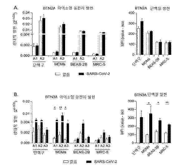 KR_20250017193_PA