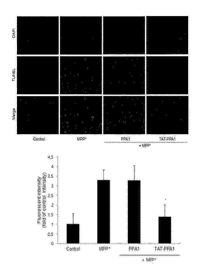 KR_20250067974_PA