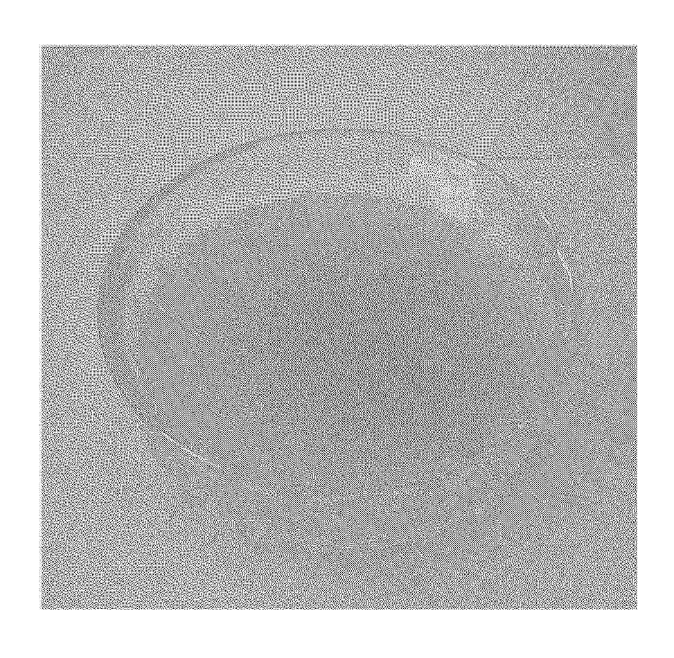 KR_20250113669_PA