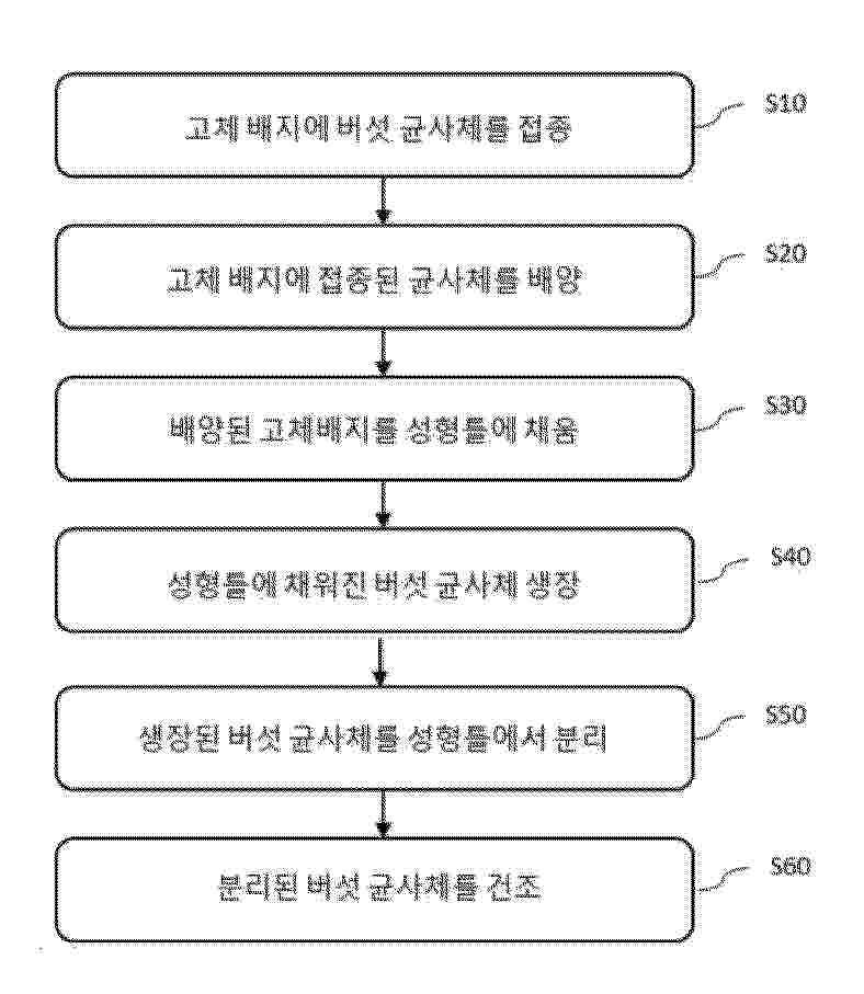 KR_20250119388_PA