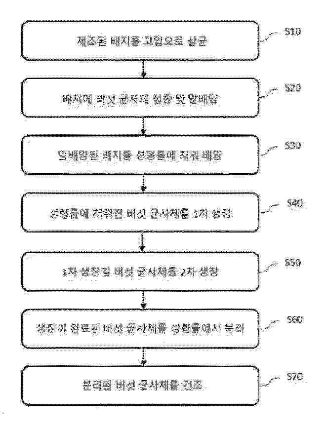 KR_20250119419_PA