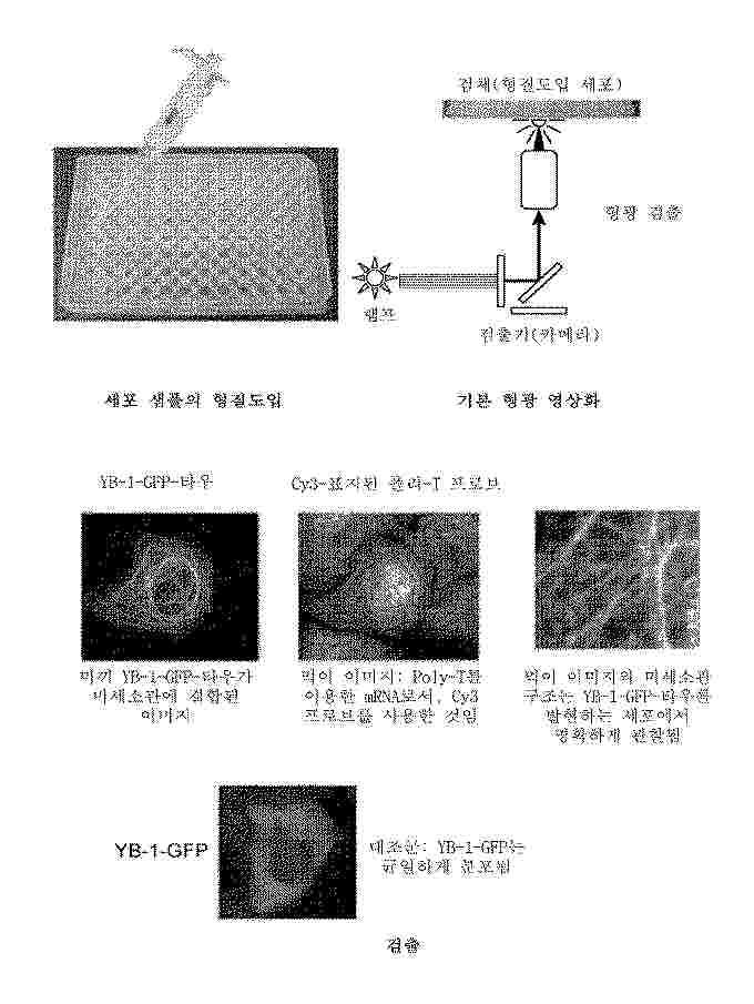 KR_20260030055_PA