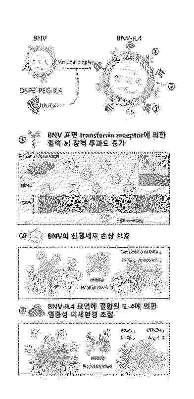 KR_20260062161_PA
