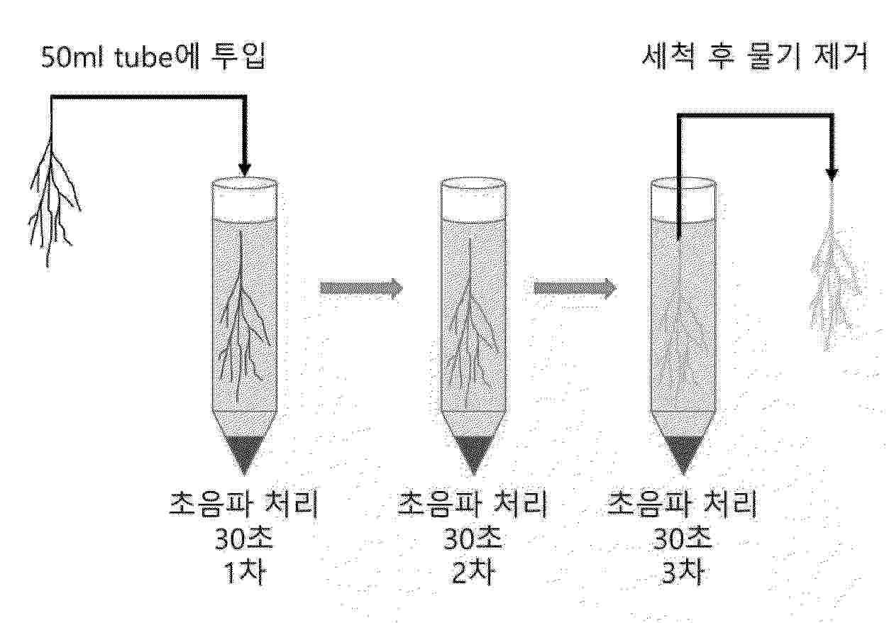 KR_20260088710_PA