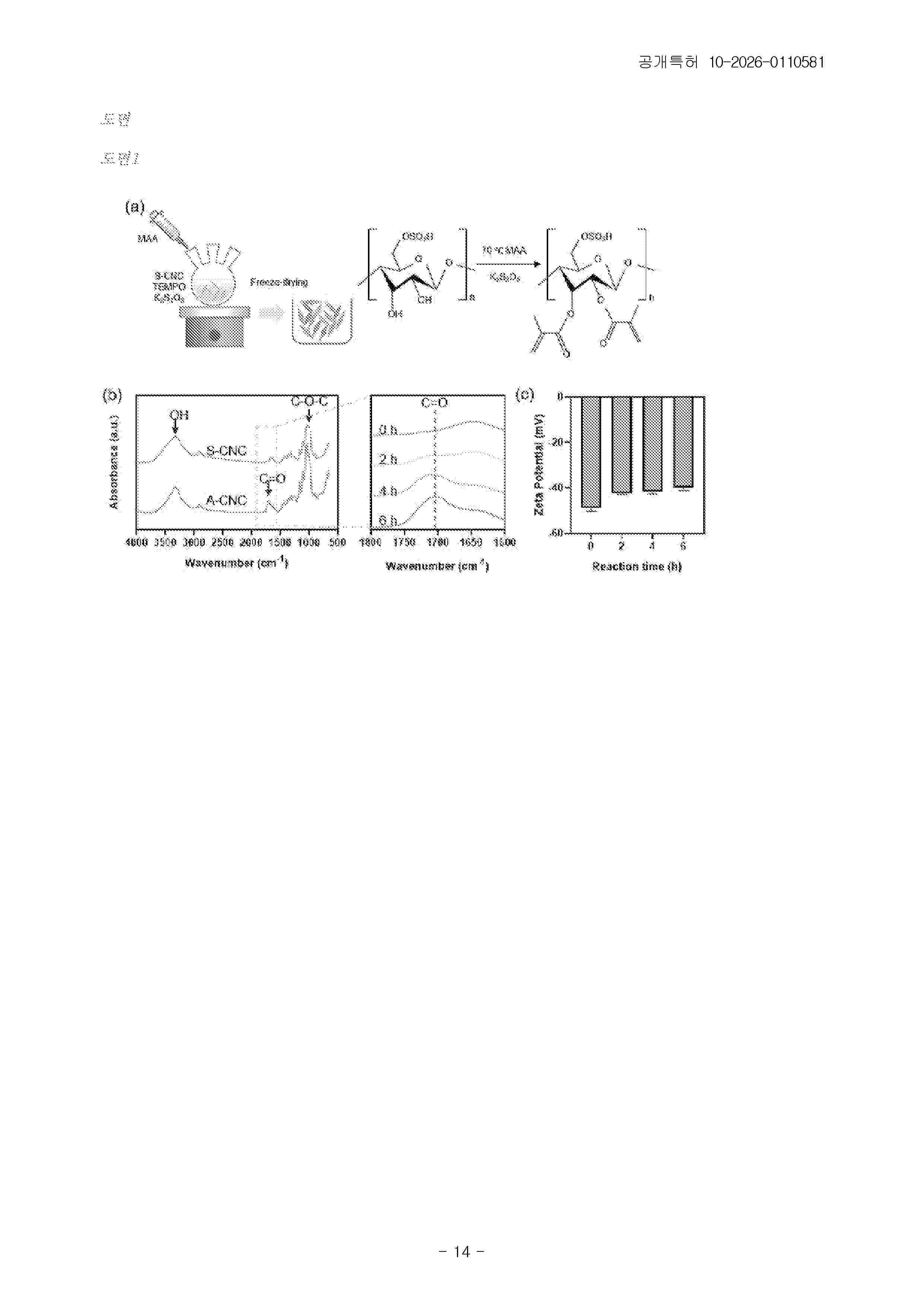 KR_20260110581_A