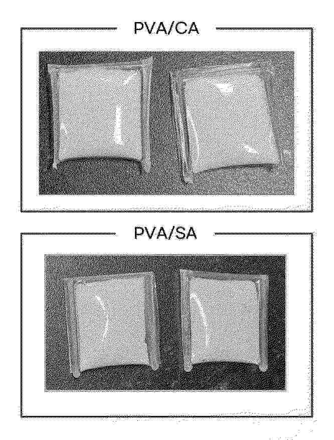KR_20260126394_PA