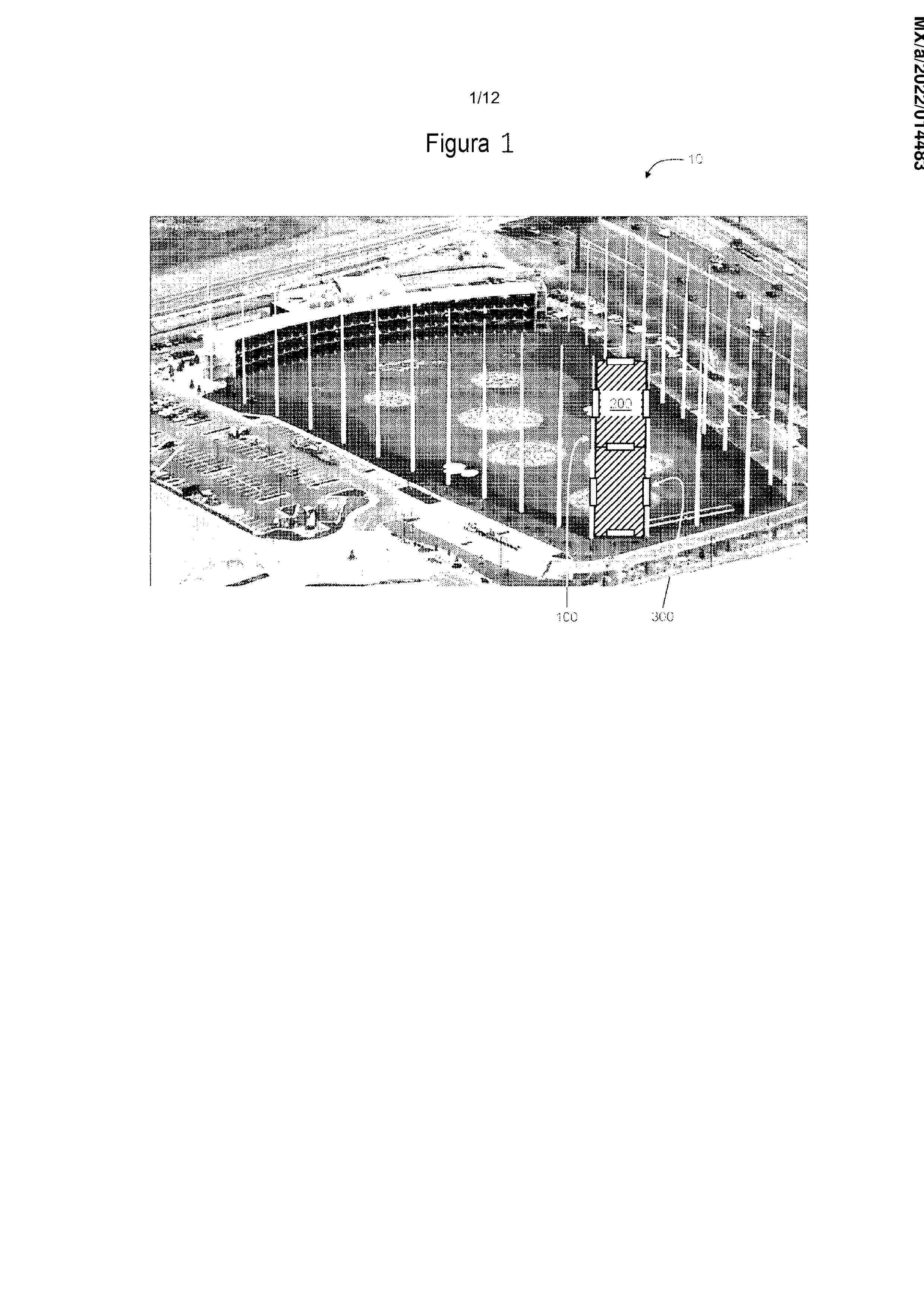 MX_2022014483_A