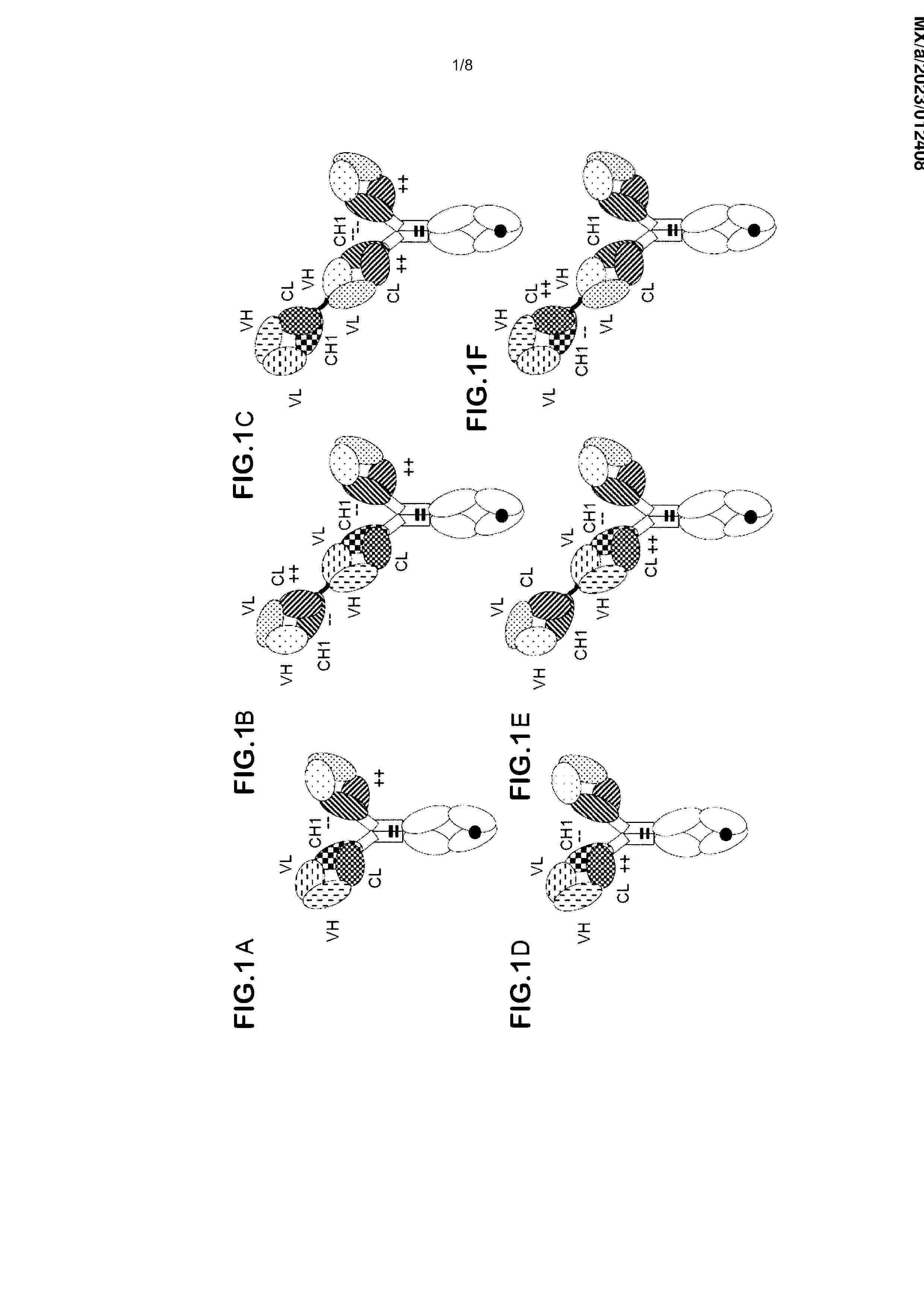 MX_2023012408_A