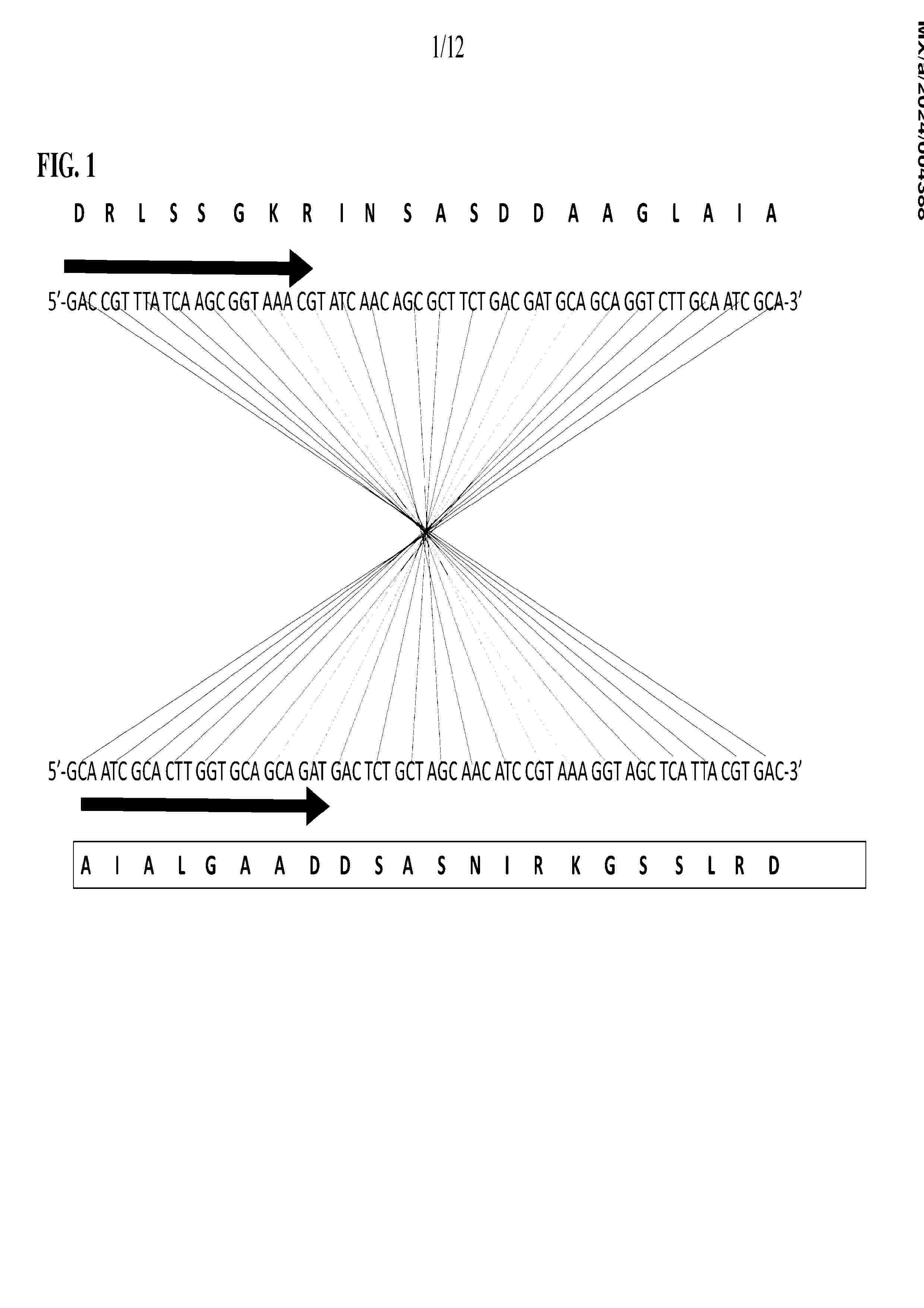 MX_2024004388_A