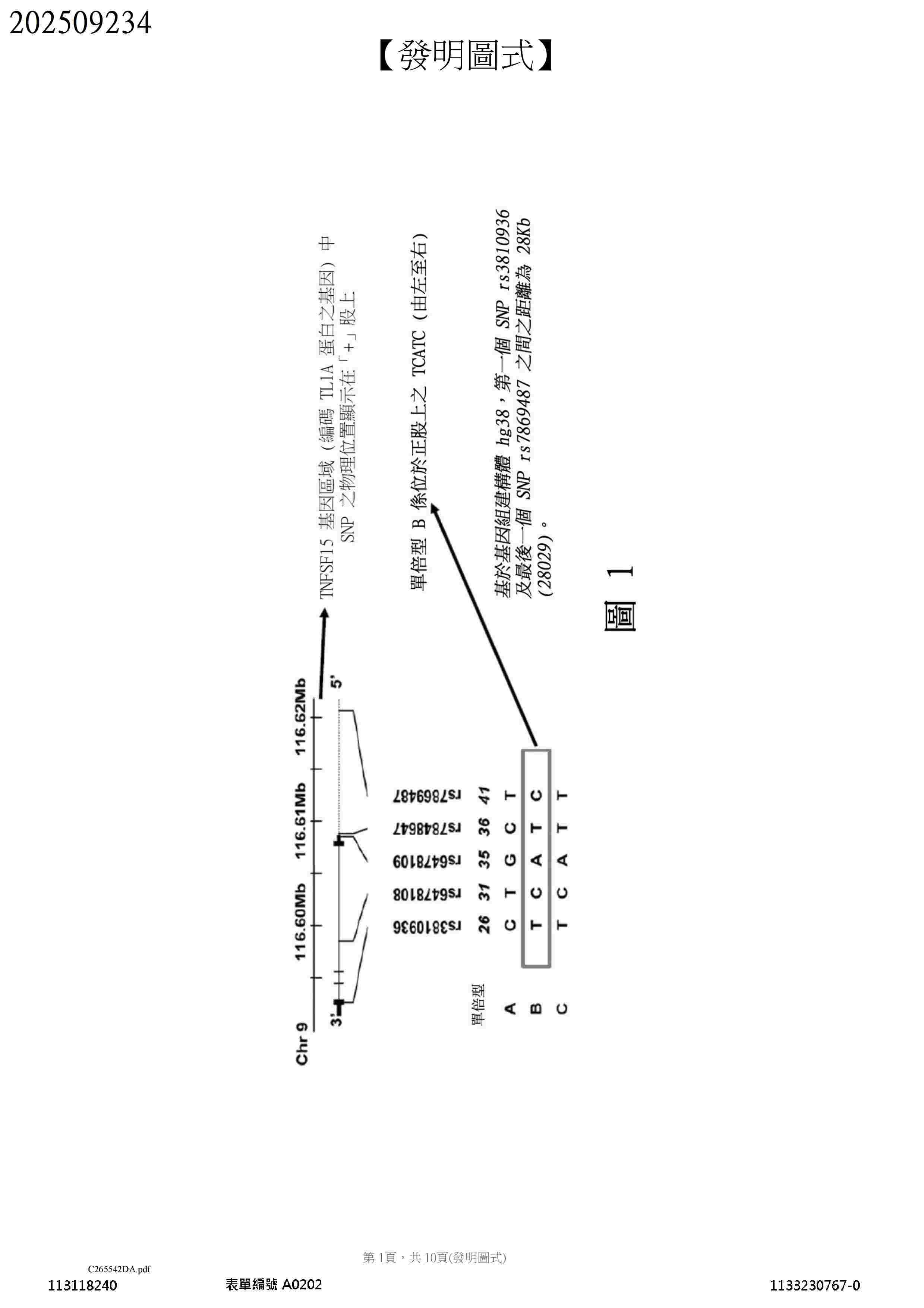 TW_202509234_A