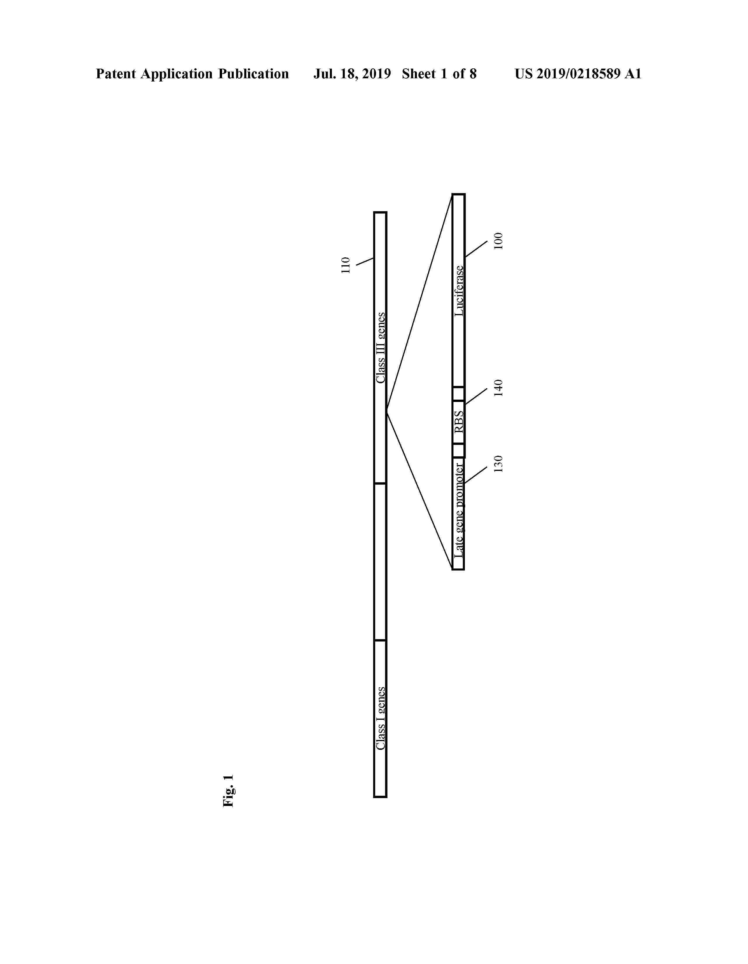 US_2019218589_A1