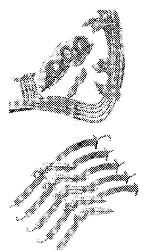 US_2024197682_PA