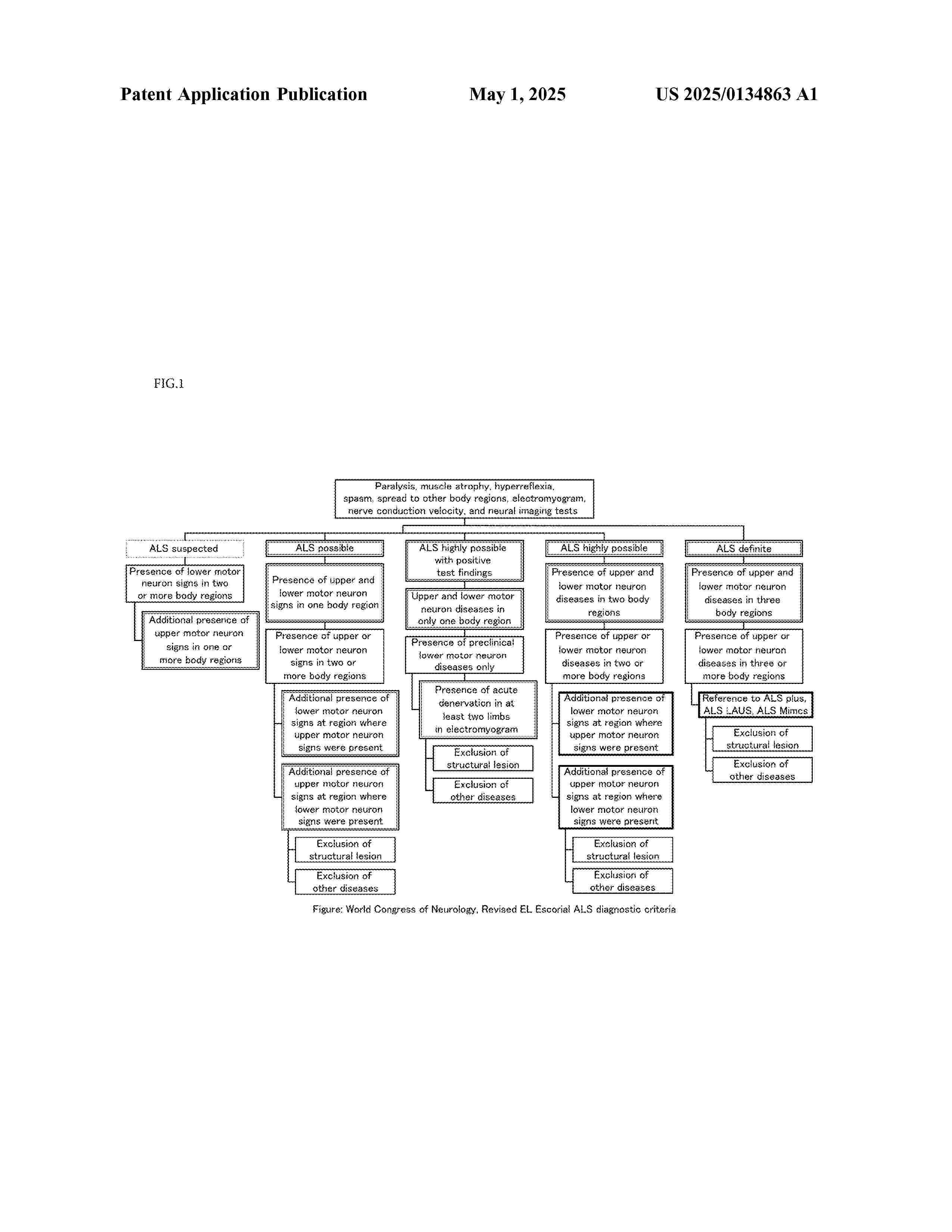 US_2025134863_A1
