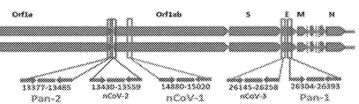 US_2025171862_PA