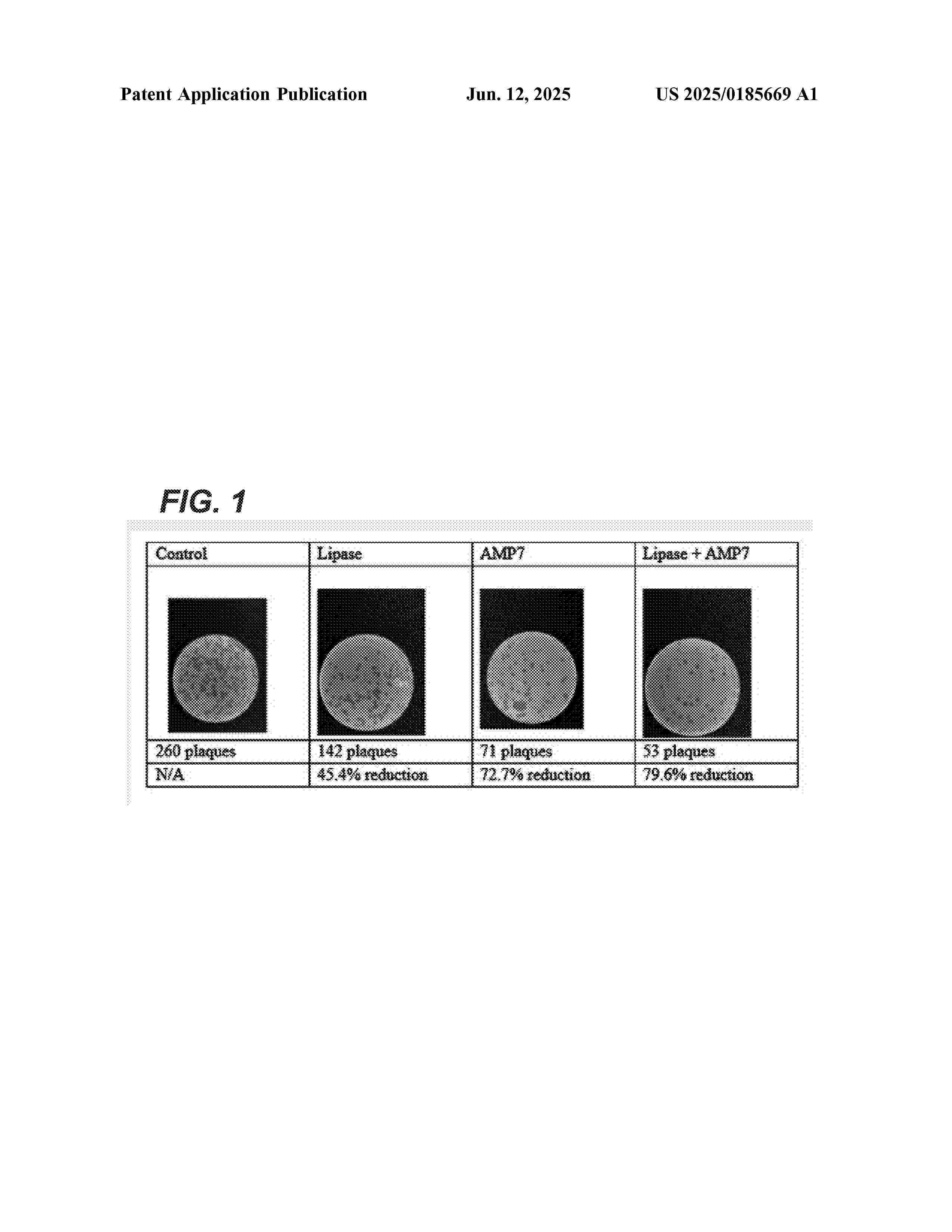 US_2025185669_A1