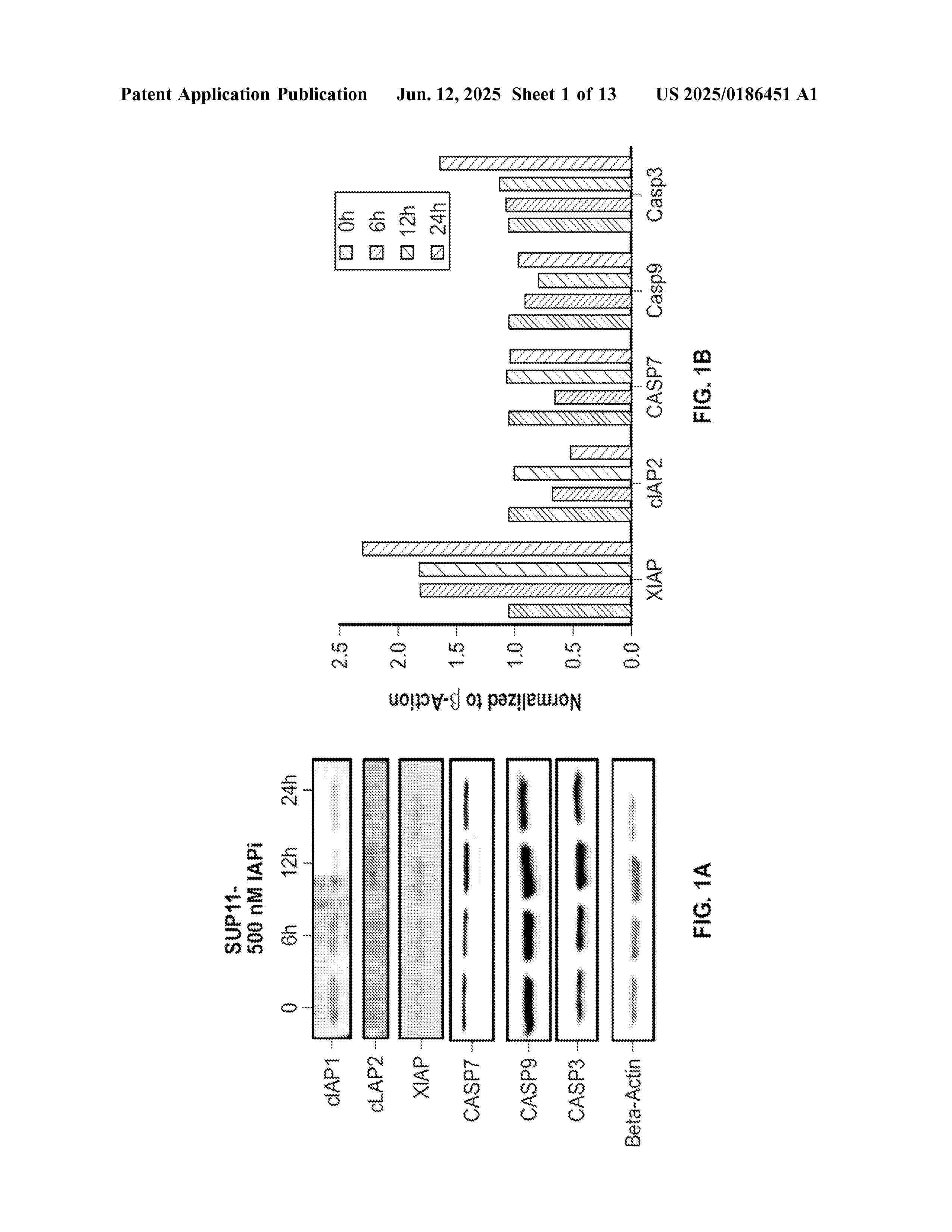 US_2025186451_A1