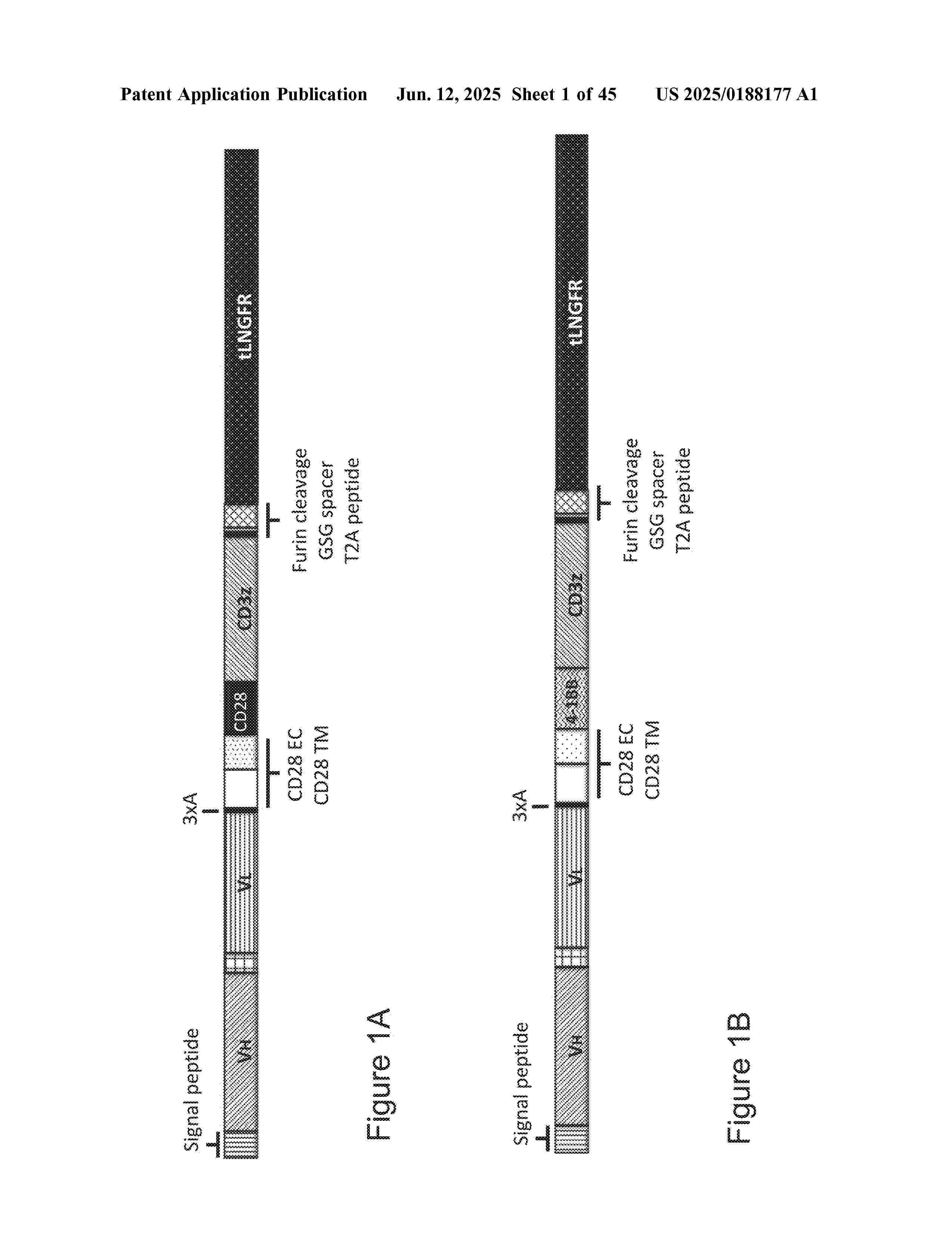 US_2025188177_A1