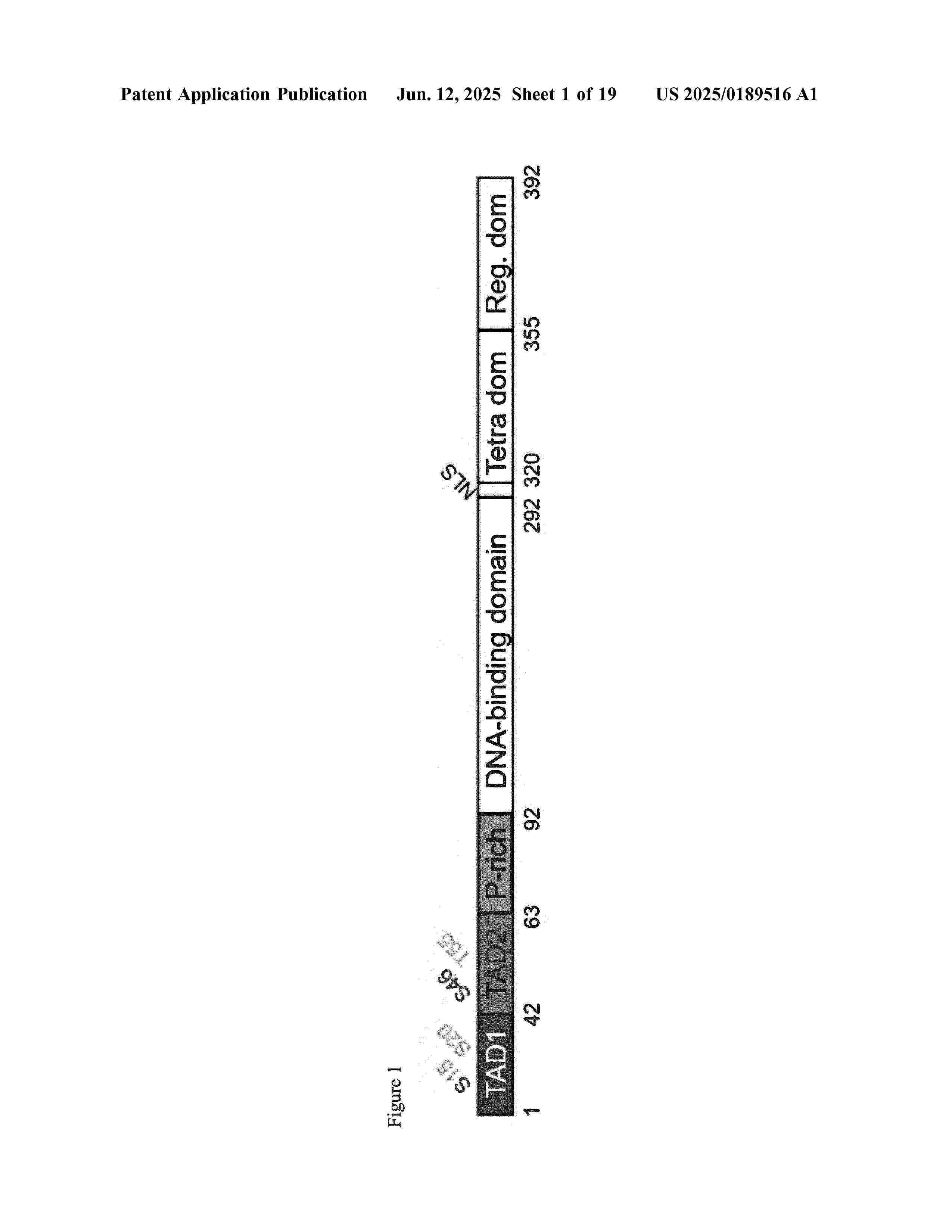 US_2025189516_A1