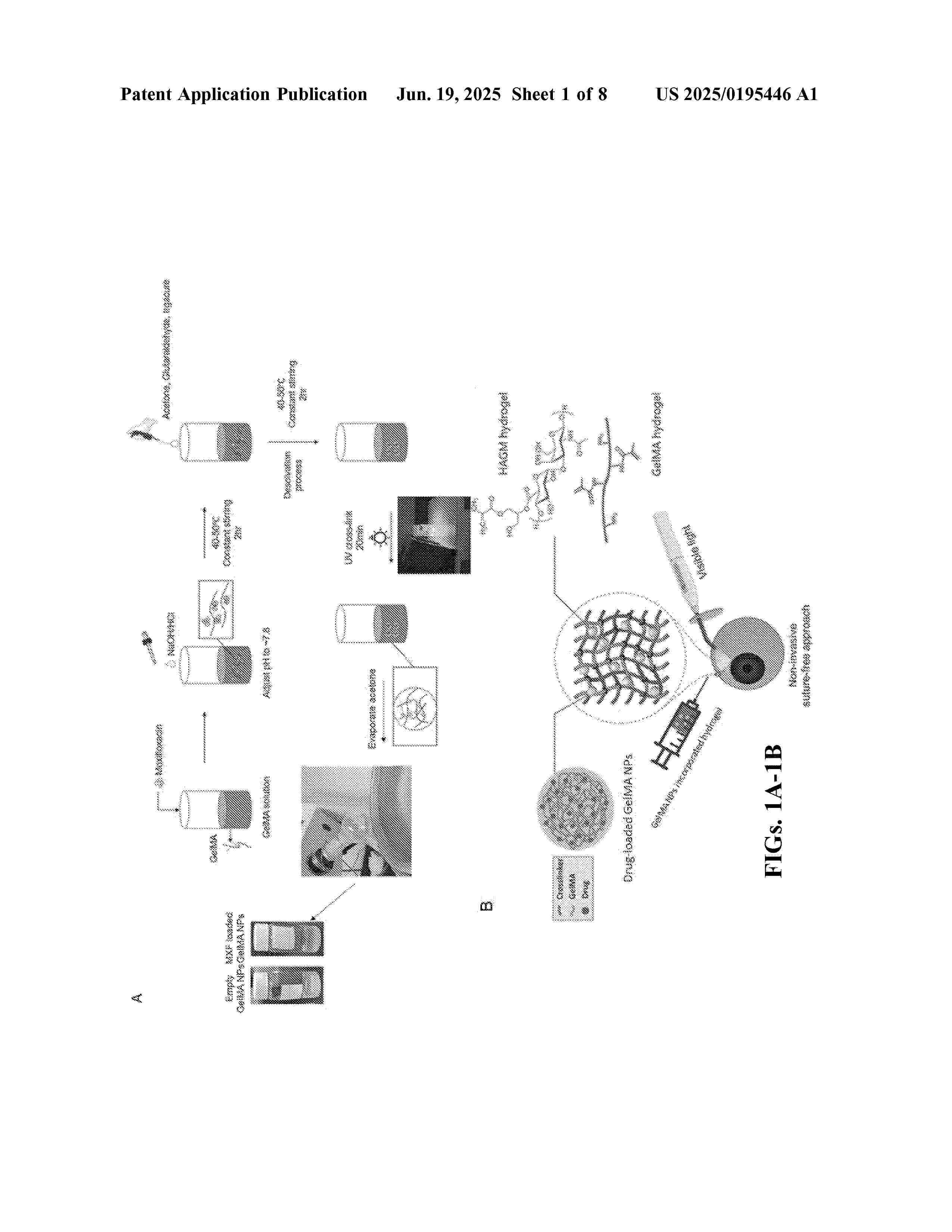 US_2025195446_A1