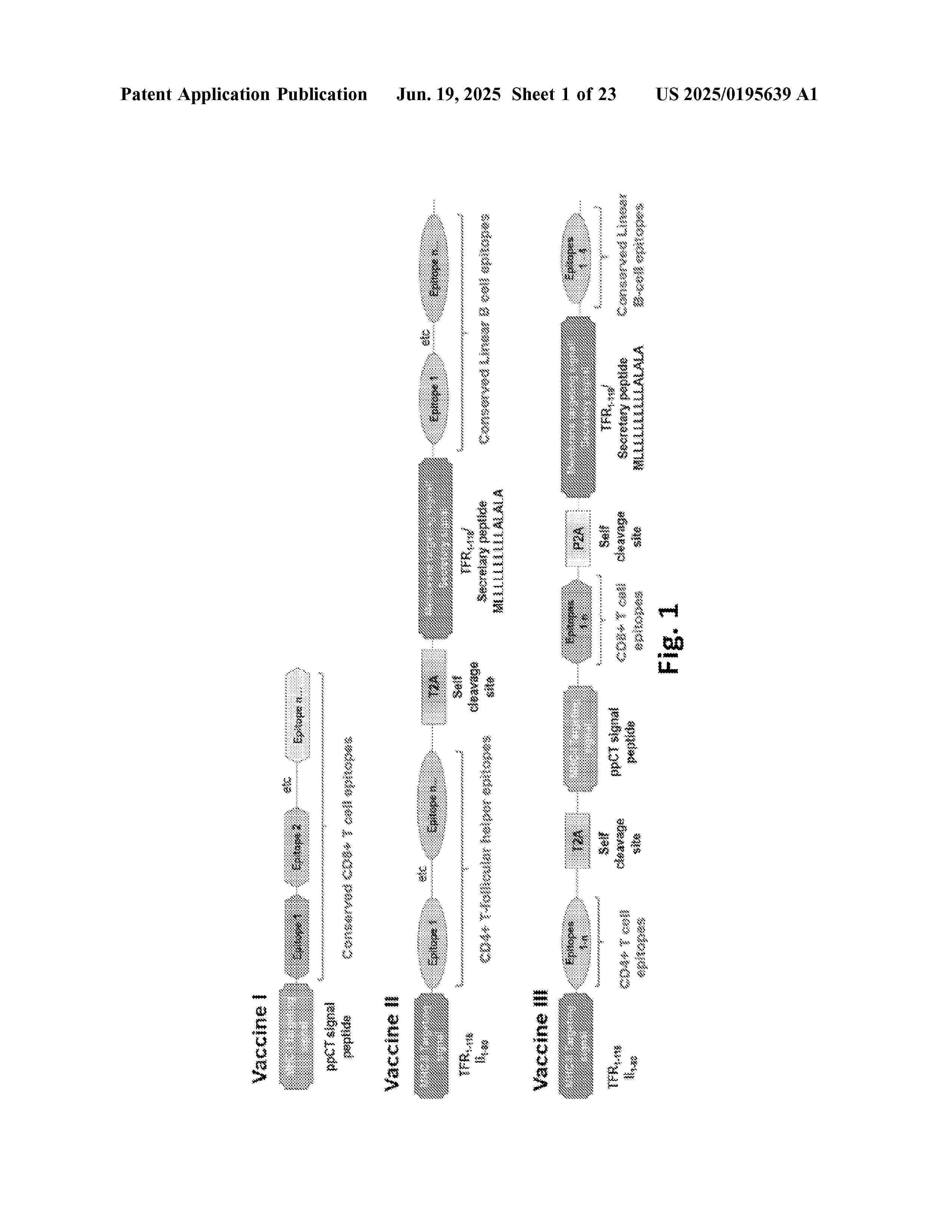 US_2025195639_A1