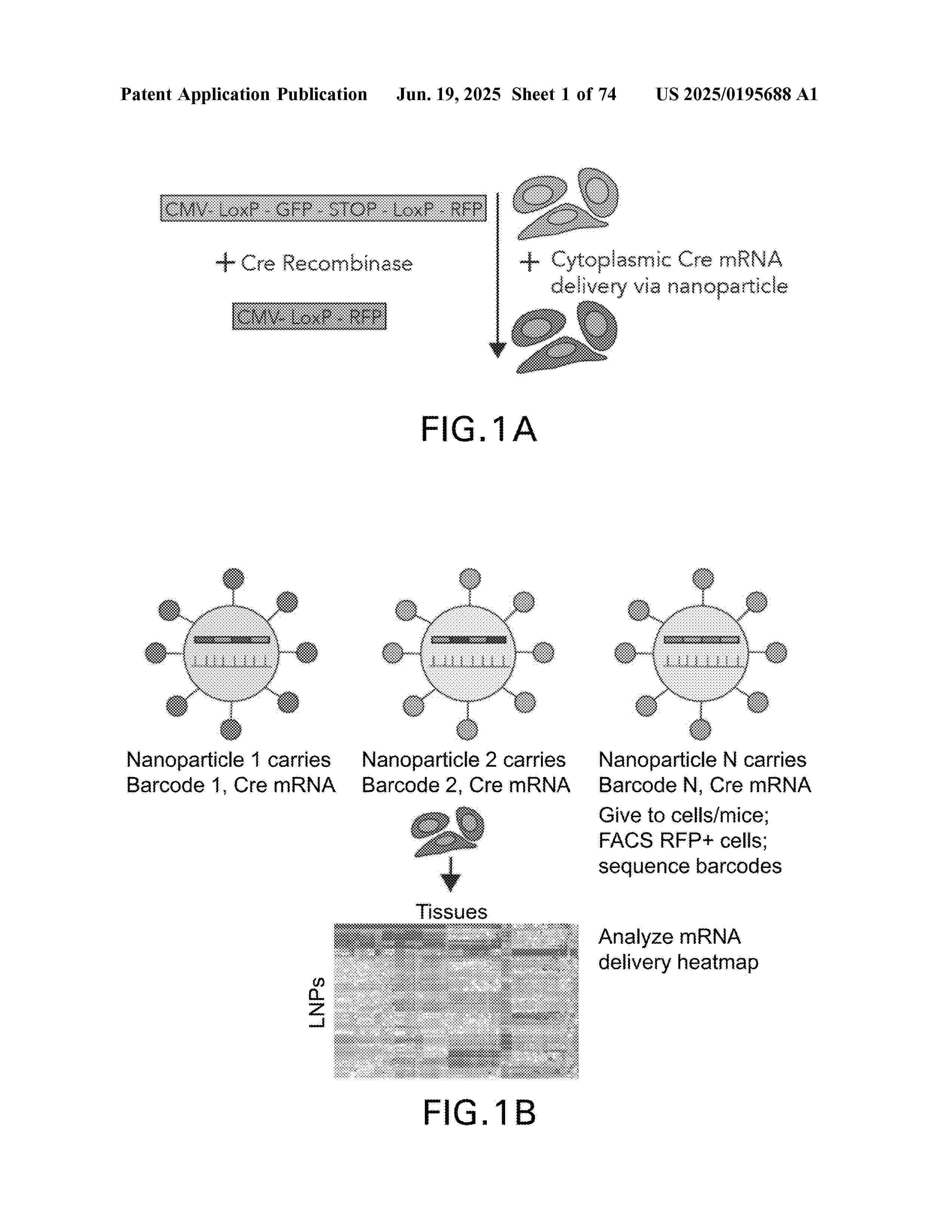 US_2025195688_A1