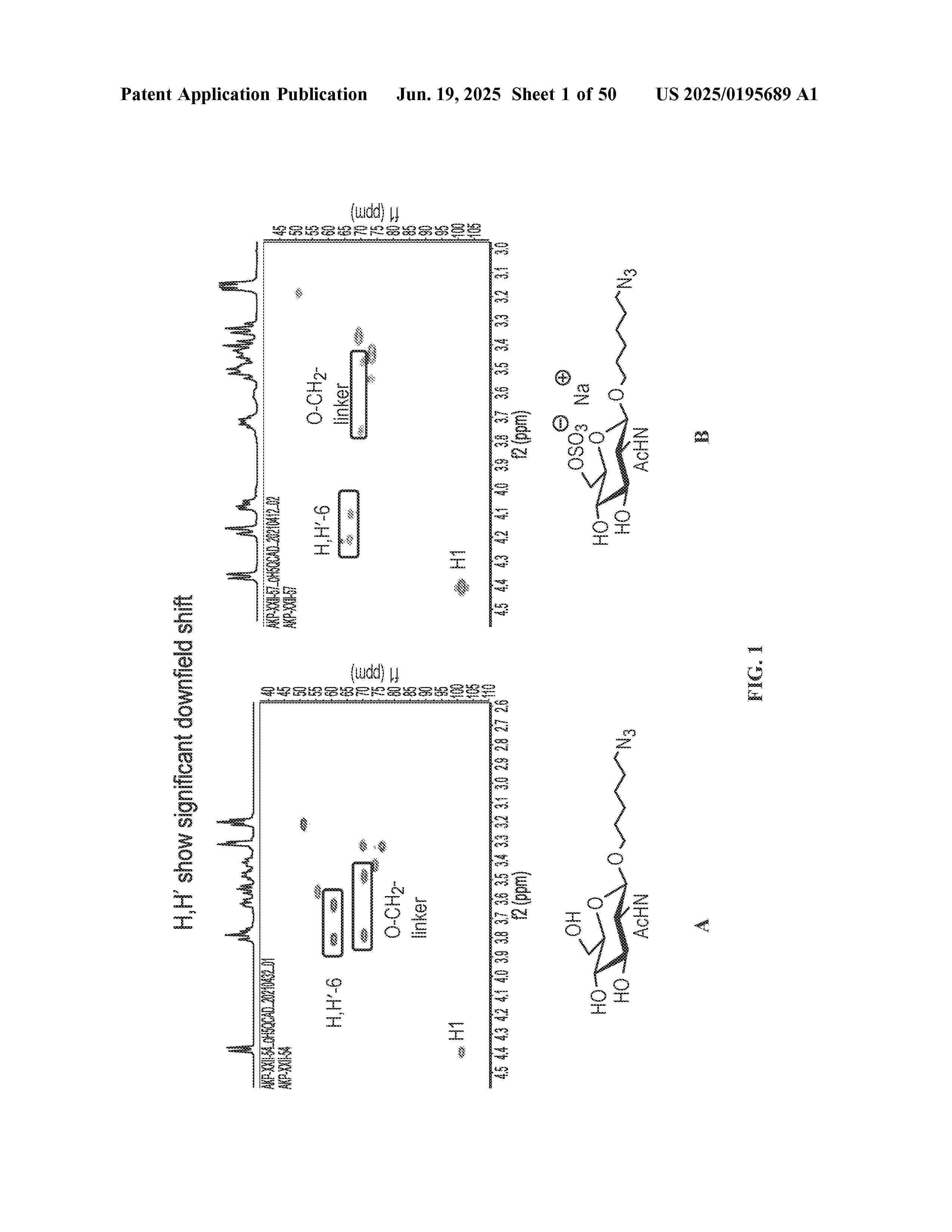 US_2025195689_A1
