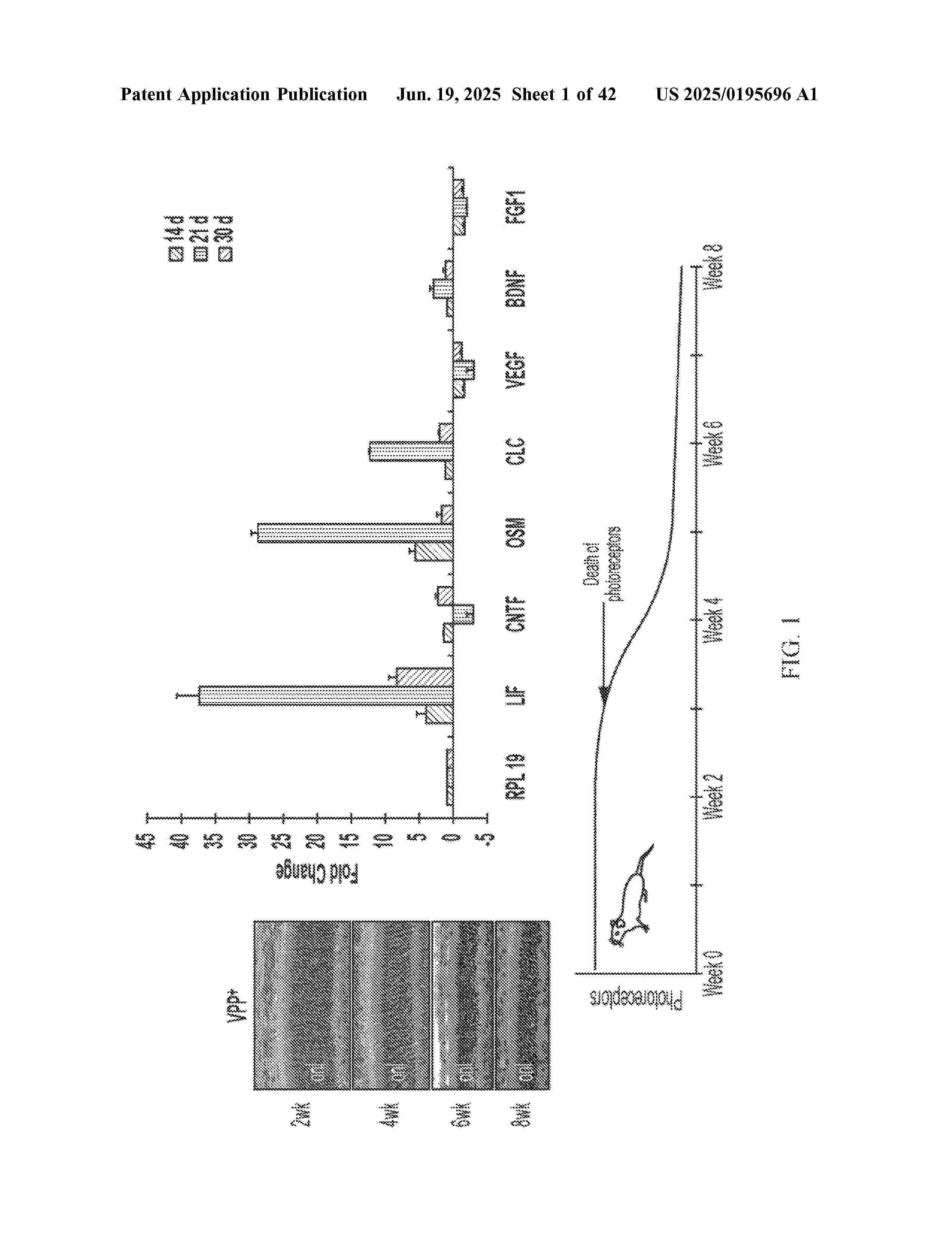 US_2025195696_A1