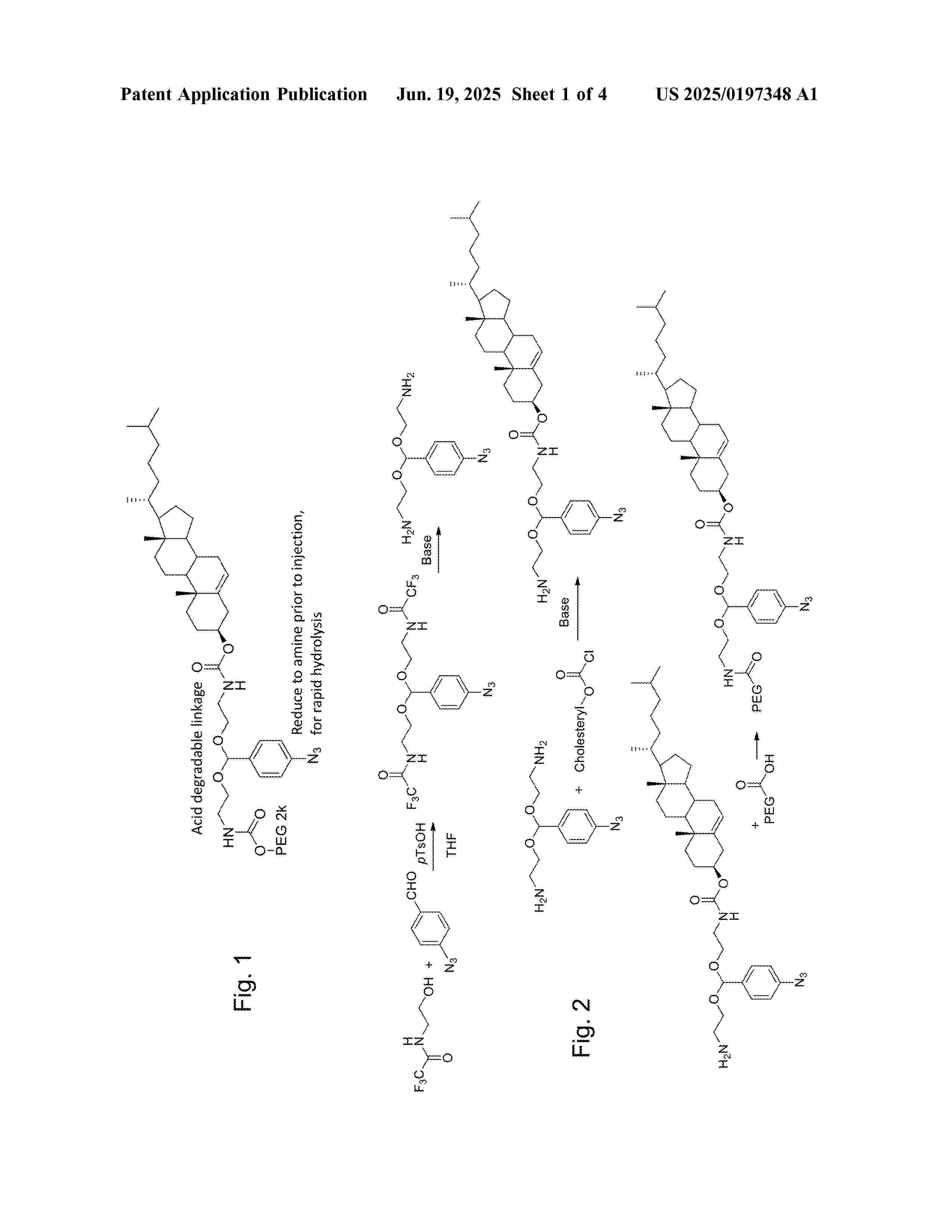 US_2025197348_A1